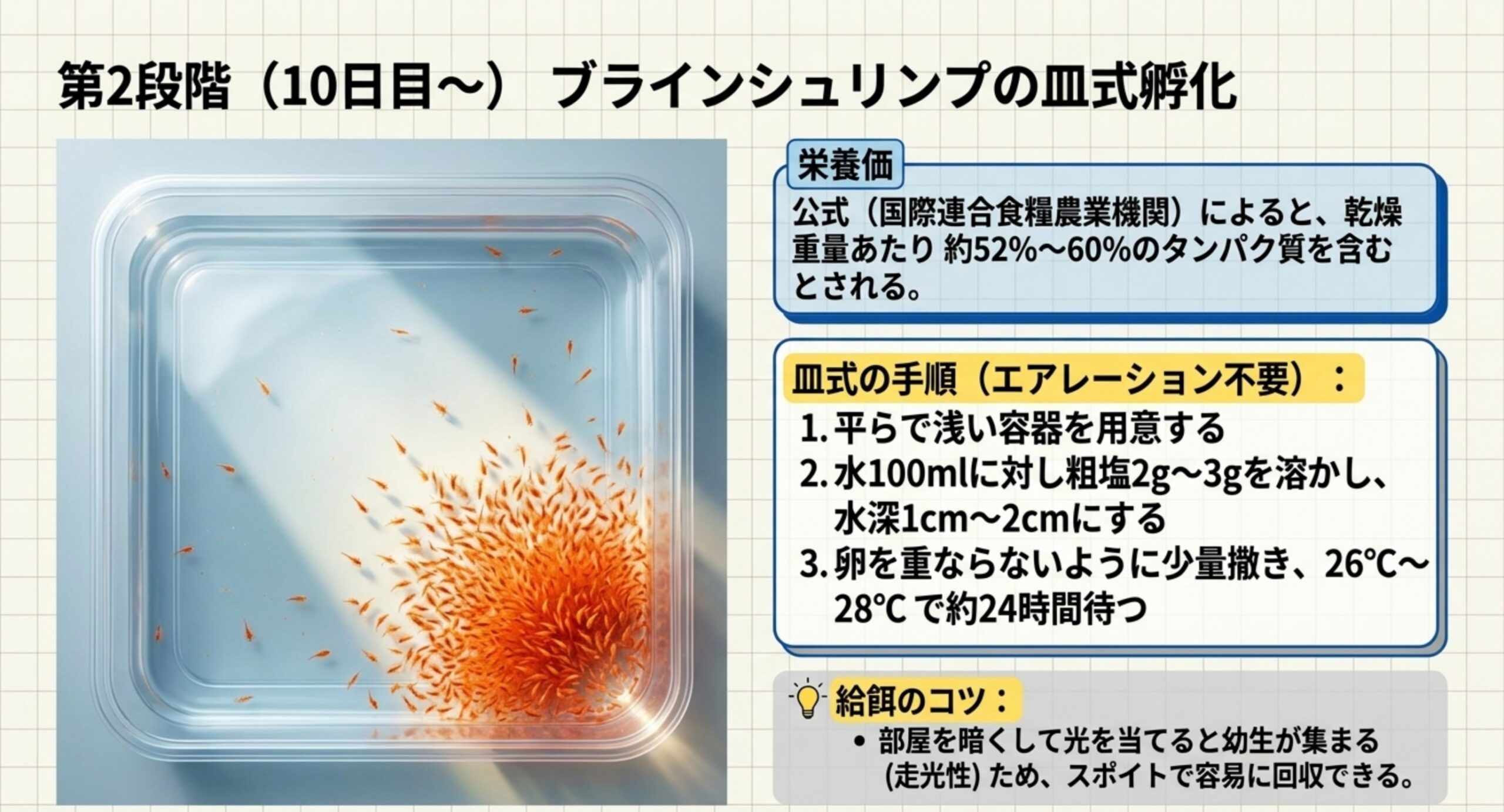 ブラインシュリンプの皿式孵化の手順 浅い容器に塩水を張ってブラインシュリンプを孵化させる皿式の手順と、幼生を回収するコツをまとめたスライド