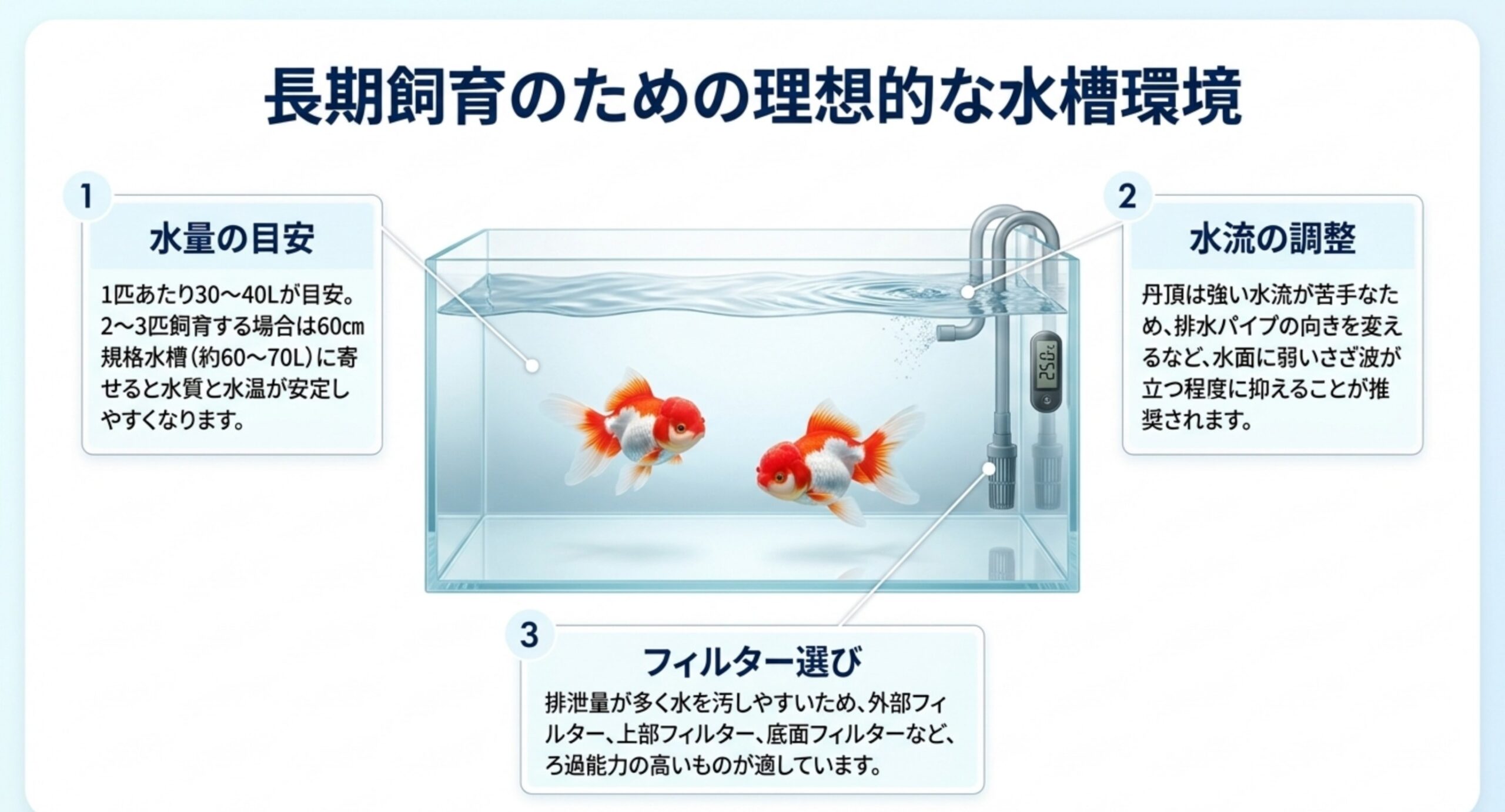長期飼育に向く水槽環境 1匹あたり30〜40Lという水量の目安、排水パイプで水流を弱める調整、ろ過能力の高いフィルター選びを水槽図で示したスライド