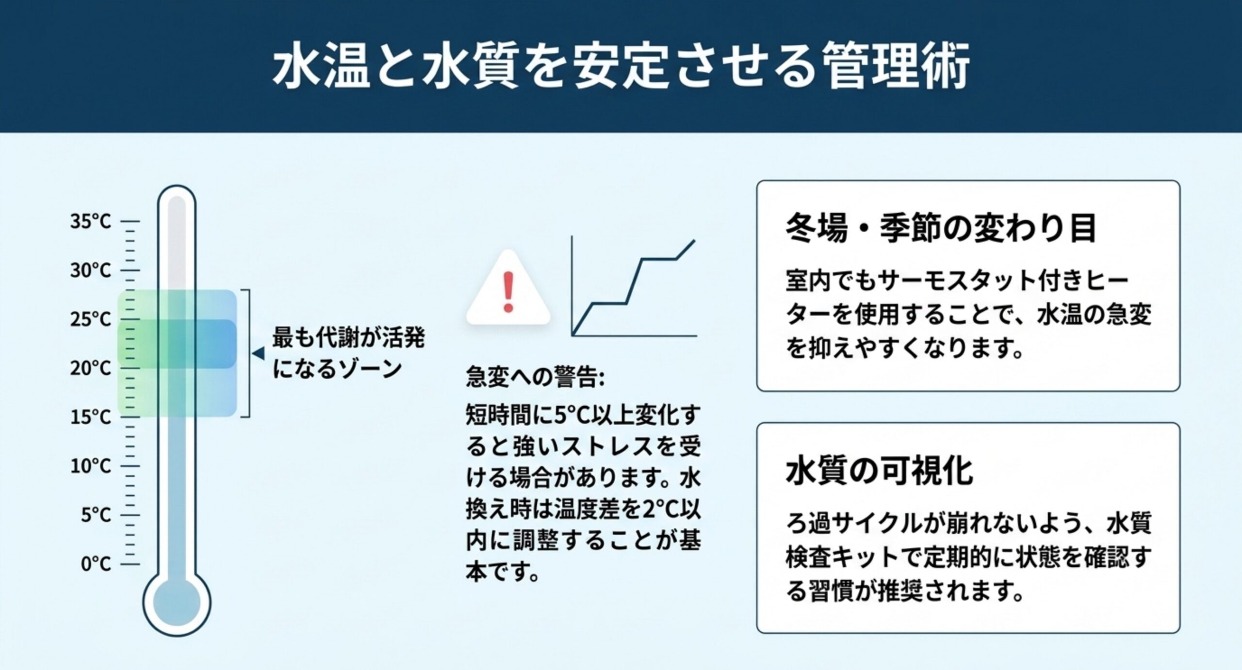 水温と水質の管理術 丹頂金魚の代謝が活発になる水温帯と、短時間の急変を避け水換え時の温度差を2℃以内に保つ管理の要点を温度計の図で示したスライド