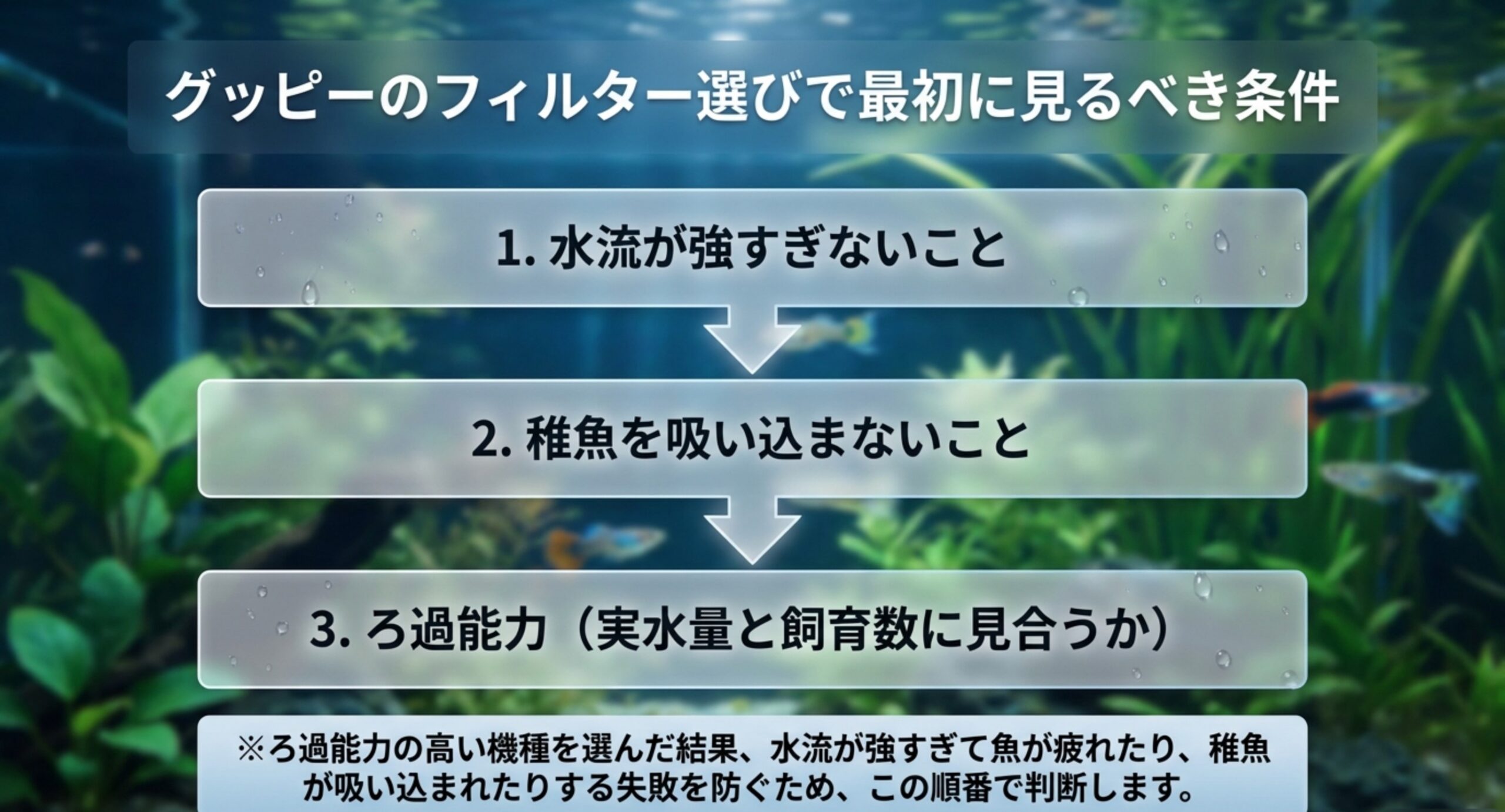 グッピー用フィルターを選ぶ順番を、水流が強すぎないこと・稚魚を吸い込まないこと・ろ過能力の3段階の流れ図で示したスライド