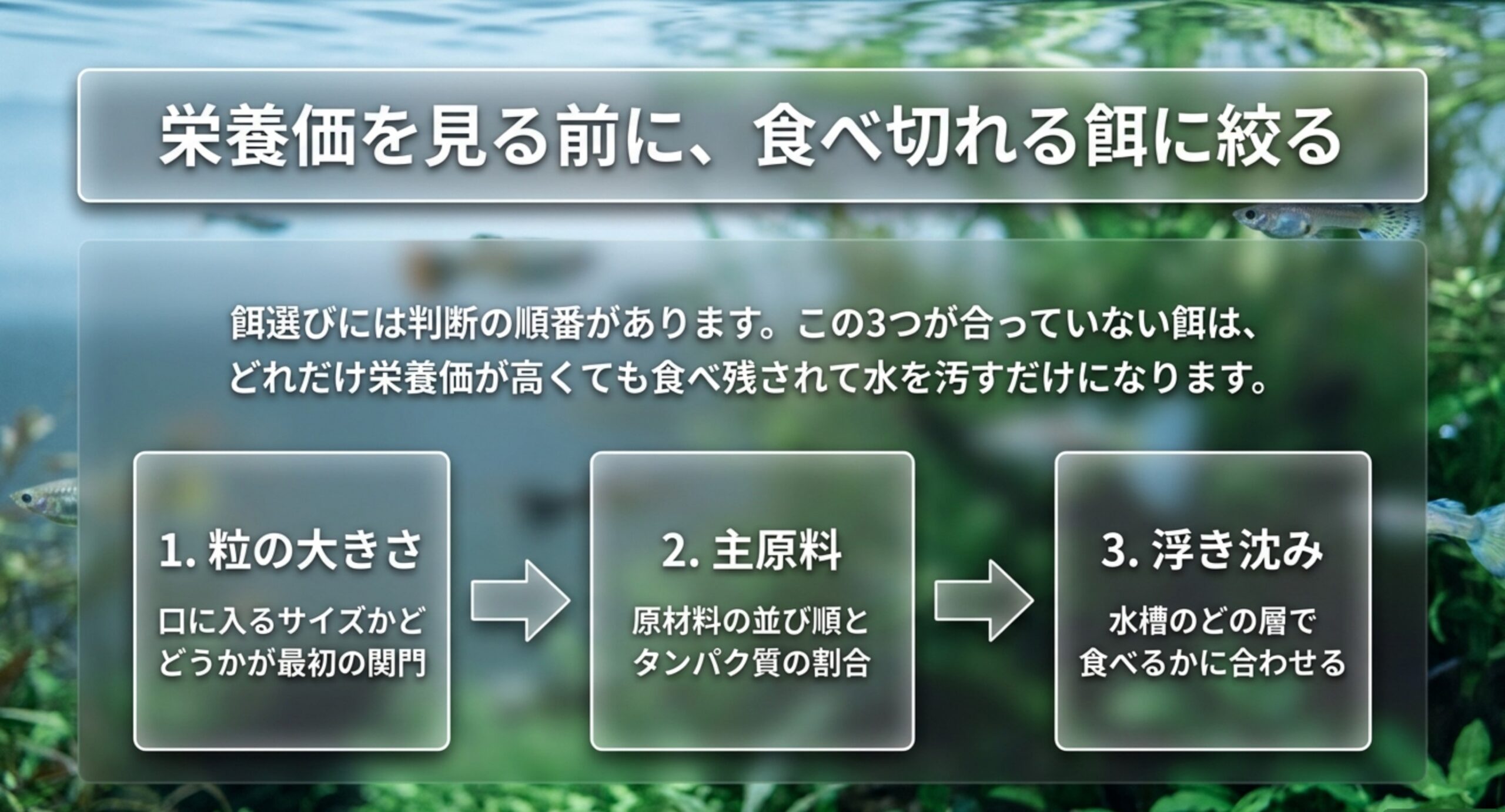 グッピーの餌を選ぶ順番を、粒の大きさ・主原料・浮き沈みの3ステップの流れ図で示したスライド