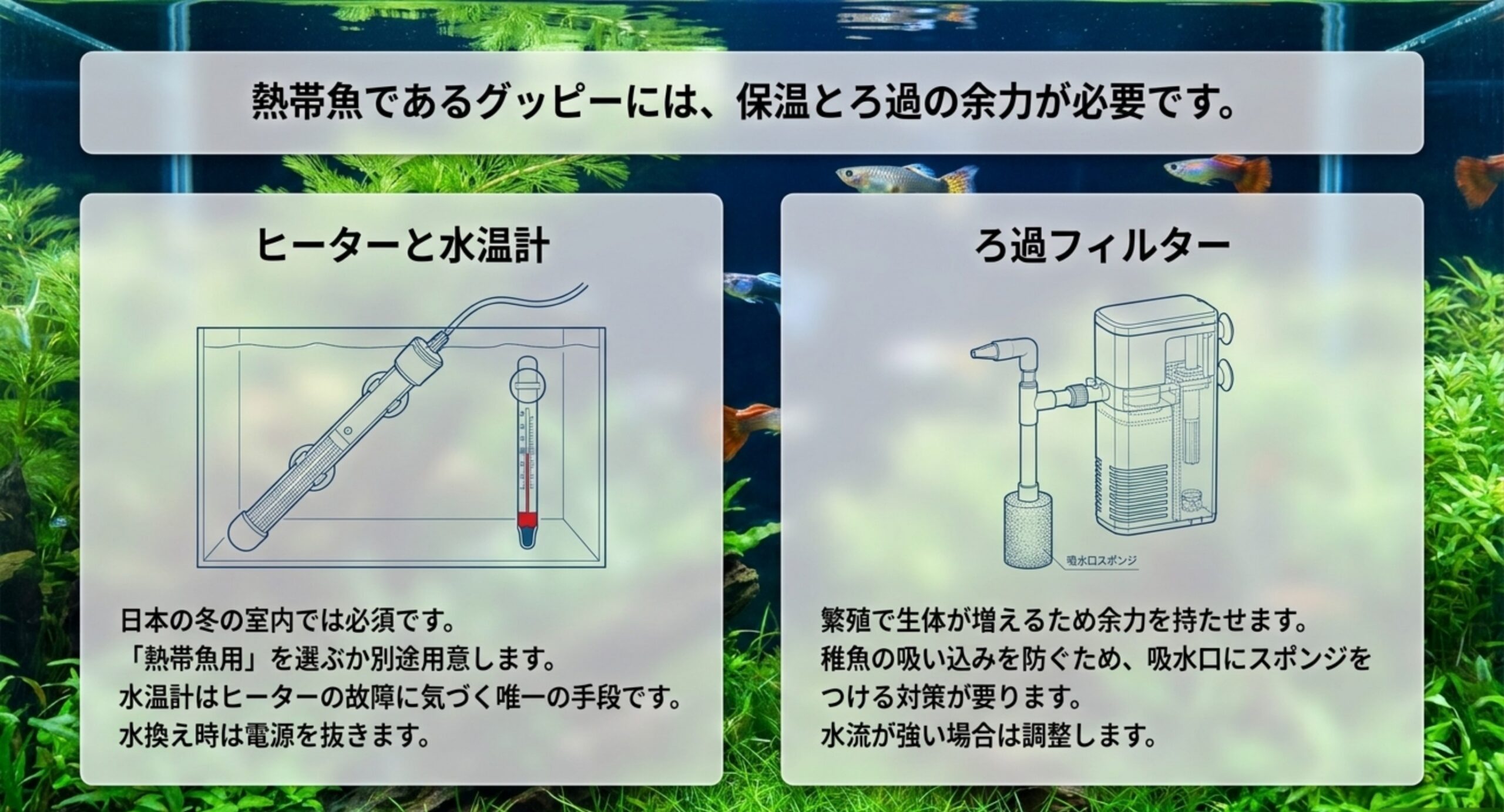 ヒーターと水温計の役割、そして繁殖で生体が増えるためろ過に余力と稚魚の吸い込み対策が要ることを、水槽の断面図で左右に説明したスライド
