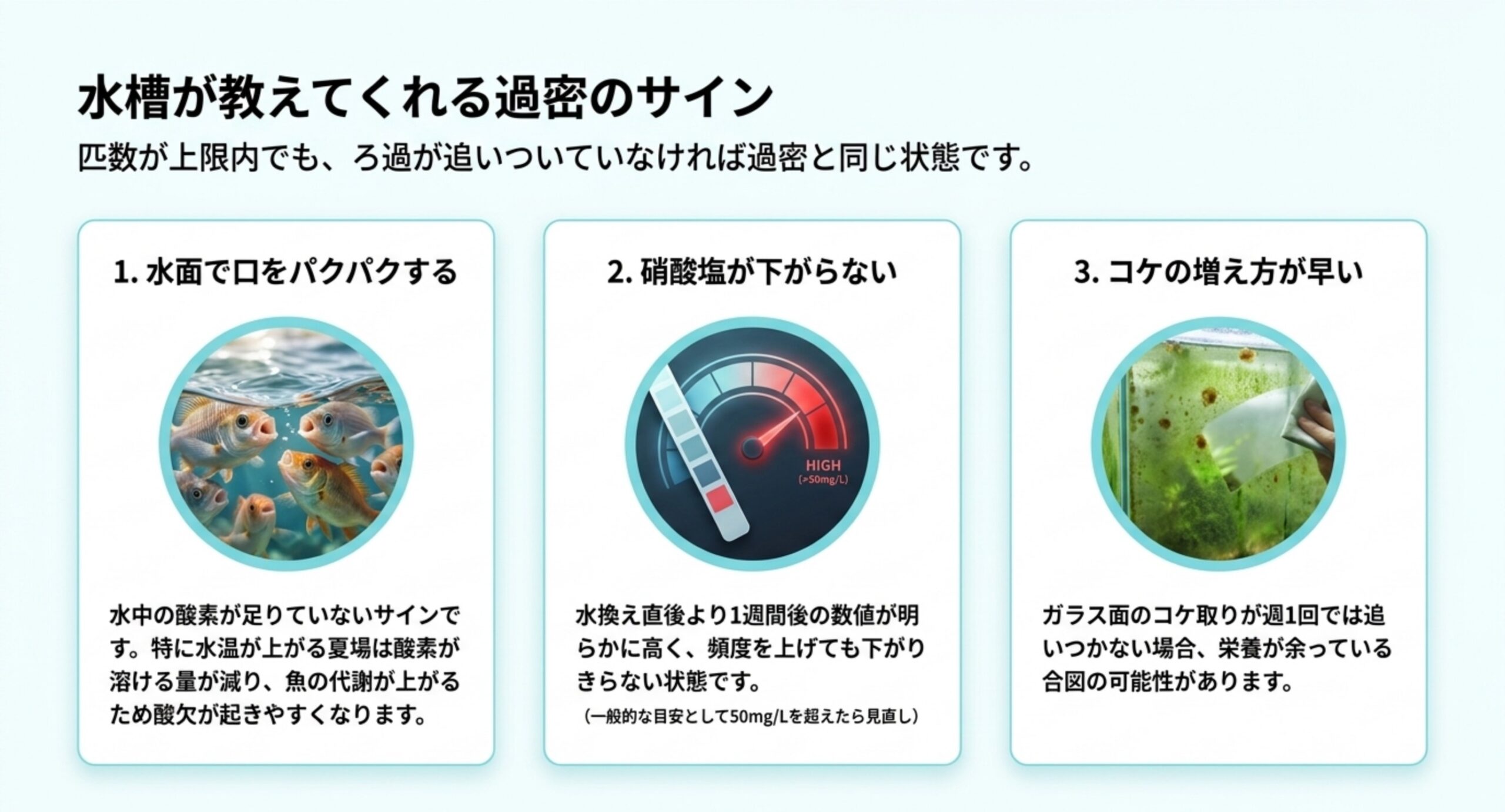 グッピー水槽が過密になっているサインを、水面で口を開閉する酸欠・下がらない硝酸塩・週1回では追いつかないコケの3つに分けて写真つきで示したスライド