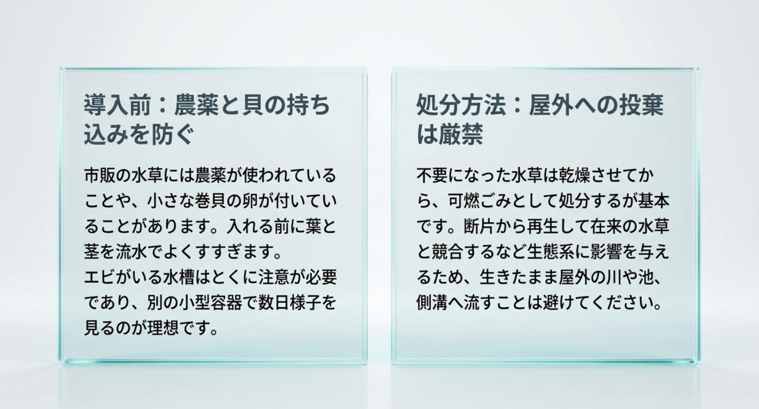 水草を入れる前に農薬と巻貝の卵を確認する手順と、不要になった水草を乾燥させて可燃ごみに出す処分方法を2枚のパネルで示したスライド