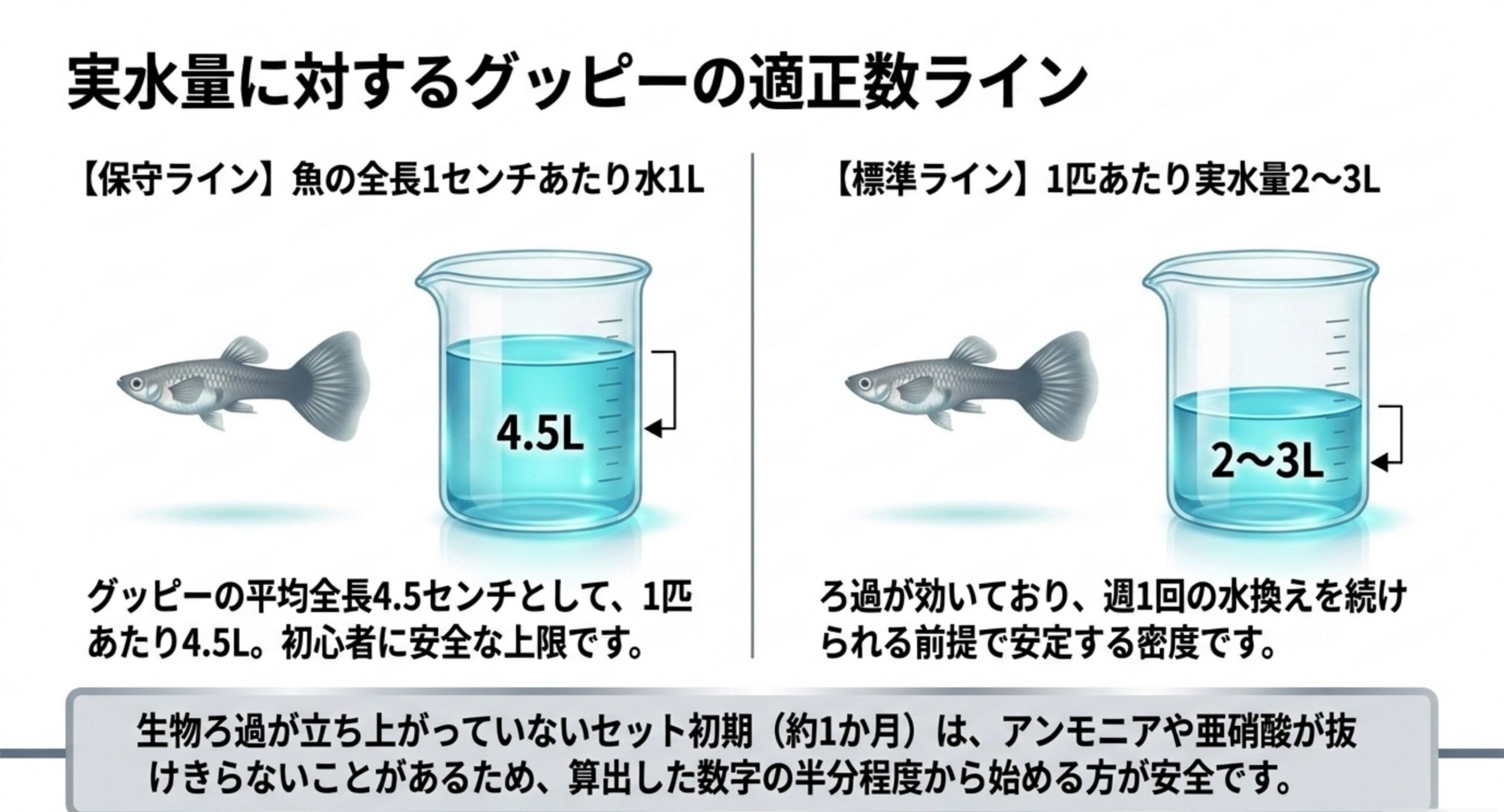 グッピー1匹あたりに必要な水量を、全長1cm=1Lで計算した保守ライン4.5Lと、ろ過が効いている前提の標準ライン2〜3Lにビーカーで並べて比較したスライド