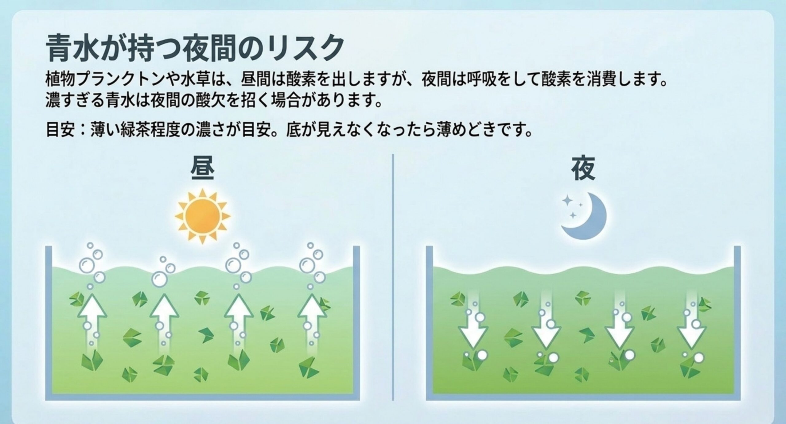 昼は植物プランクトンが酸素を出し夜は消費するという違いを、昼と夜の容器を左右に並べて矢印で示したスライド