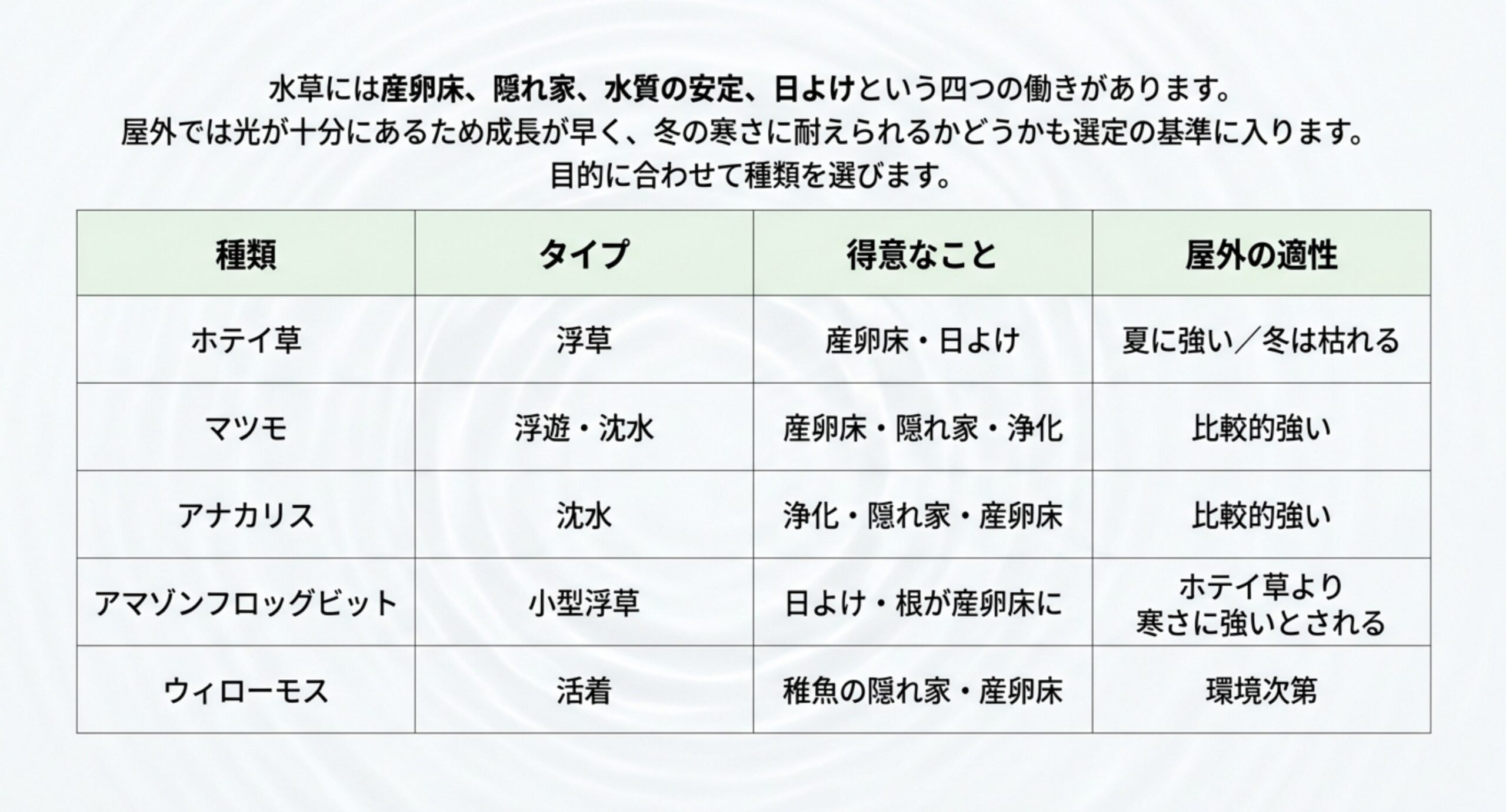 ホテイ草からウィローモスまで五種類のタイプと得意なことと屋外適性を並べた表のスライド