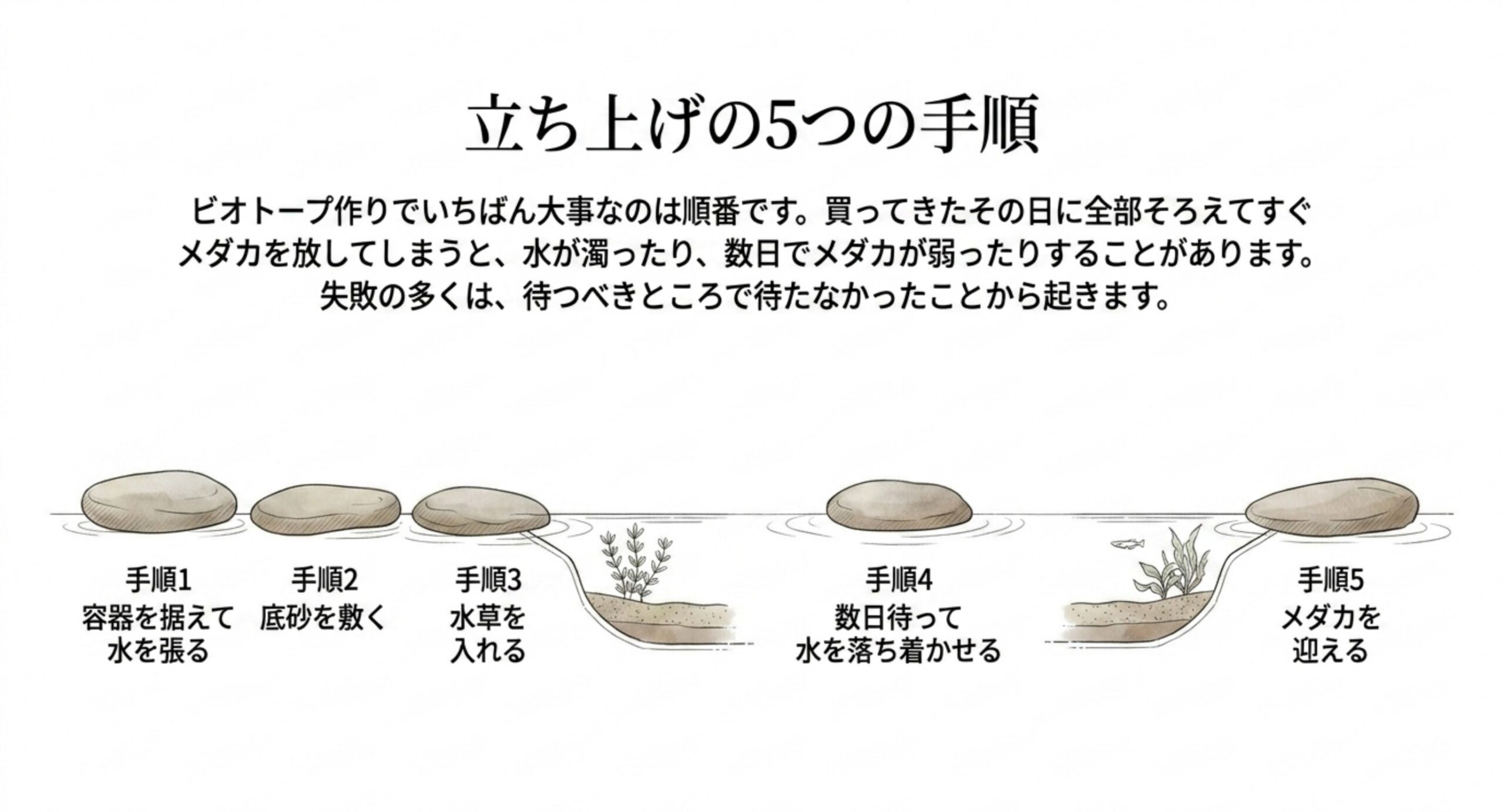 容器を据えるところからメダカを迎えるまでの五工程を並べた図のスライド
