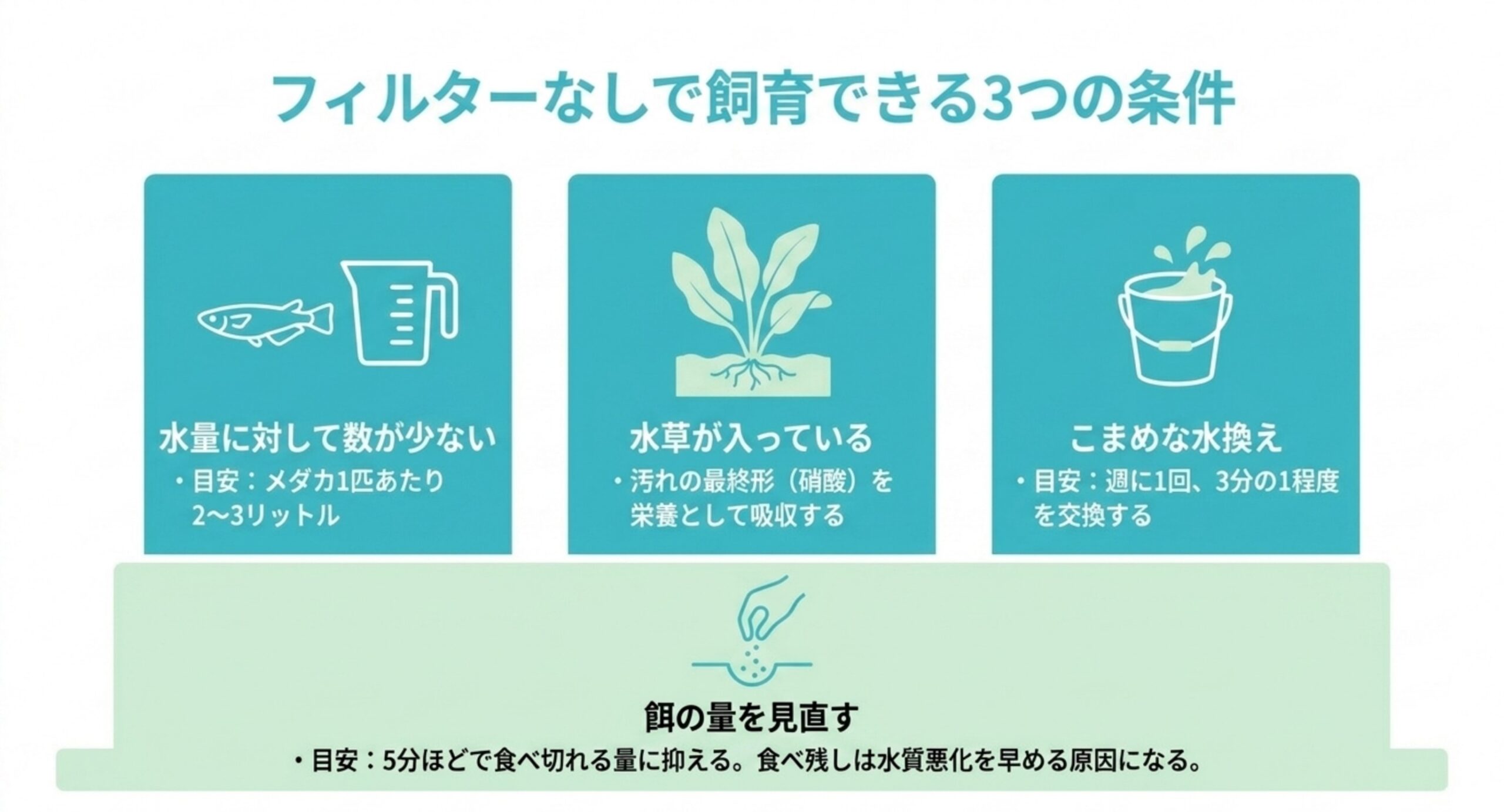 1匹あたり2〜3リットルの水量、水草が入っていること、週1回3分の1の水換えという3条件と、餌の量の見直しを並べたスライド