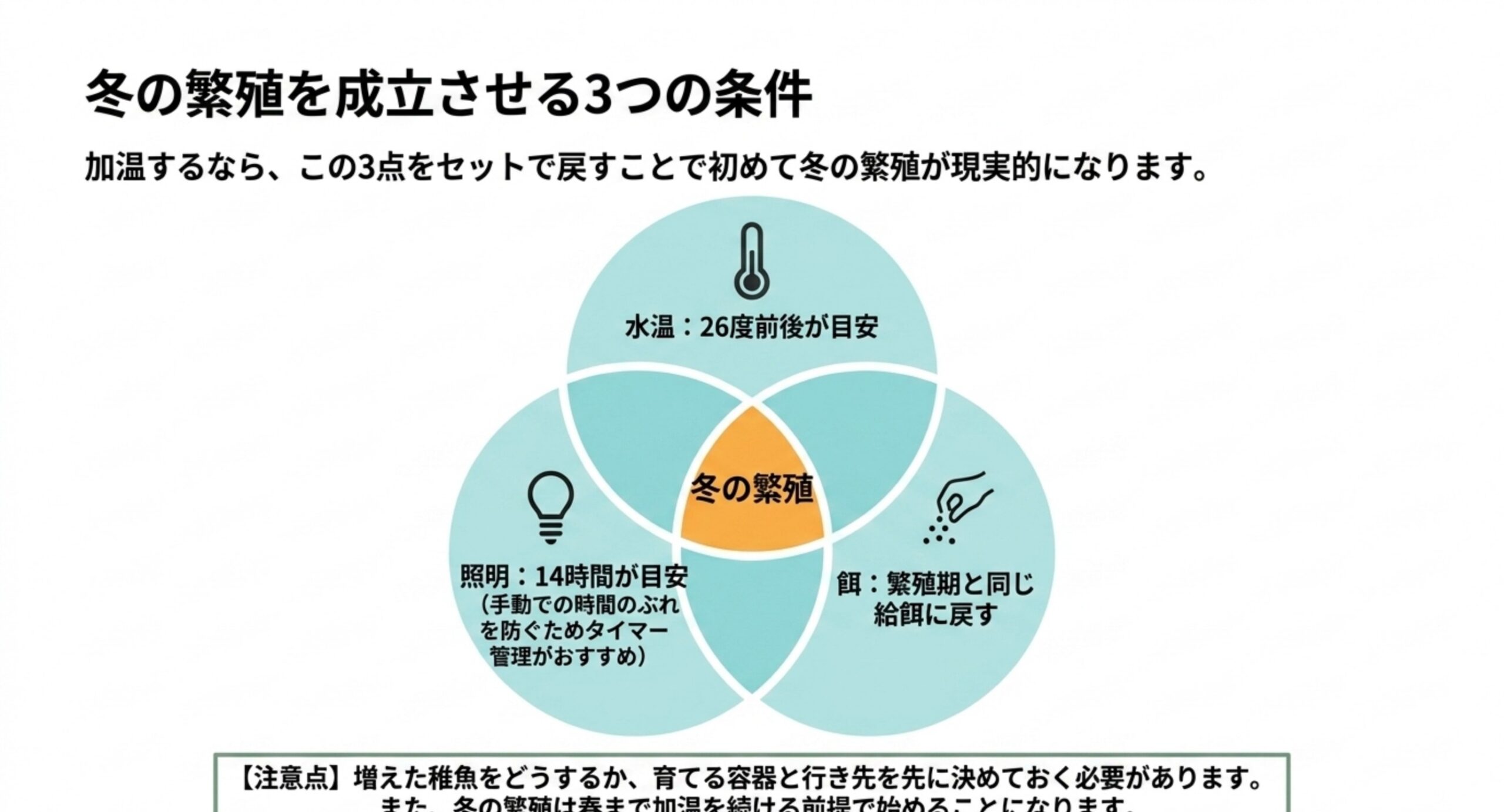 水温26度前後・照明14時間・繁殖期と同じ給餌という3つの条件が重なって冬の繁殖が成立することをベン図で示したスライド