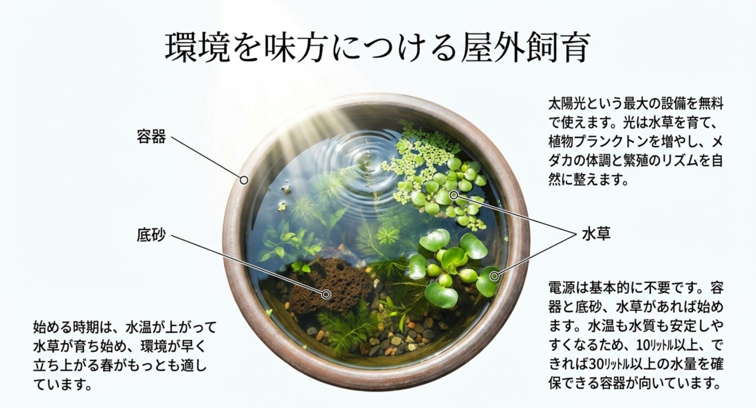 睡蓮鉢の容器と底砂と水草を指し示しながら屋外飼育の利点を説明した図のスライド