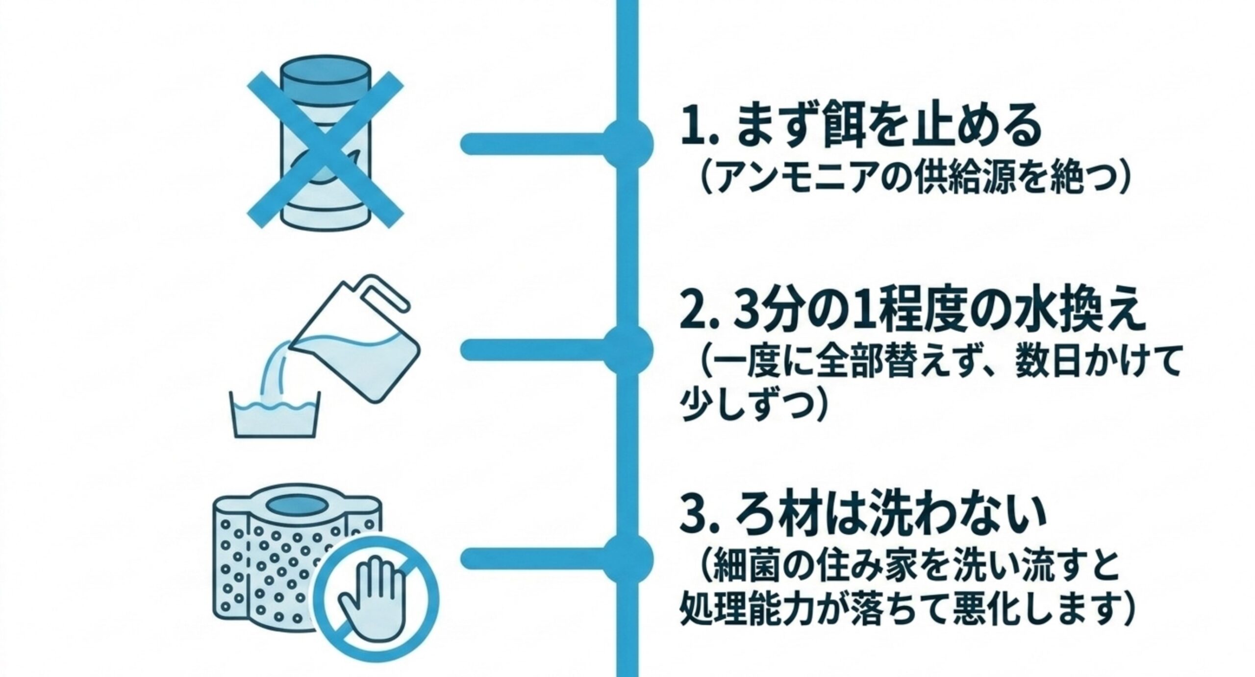 まず餌を止め、次に3分の1程度の水換えをして、ろ材は洗わないという3つの手順を上から順に並べた図解スライド