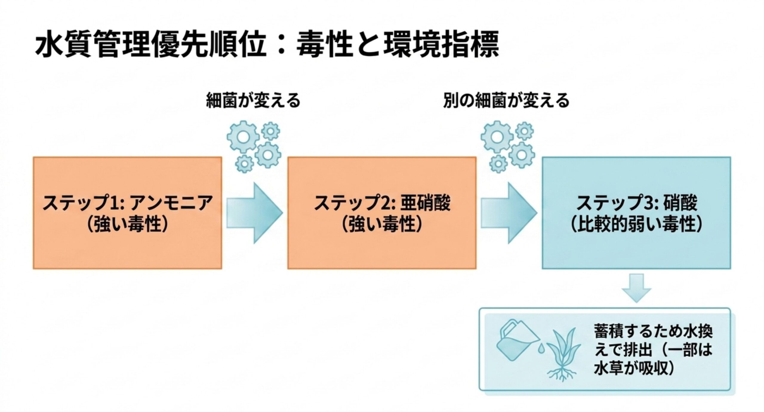 アンモニアが細菌で亜硝酸へ、さらに別の細菌で硝酸へ変わる流れを矢印で示し、最後は水換えで排出することを図解したスライド