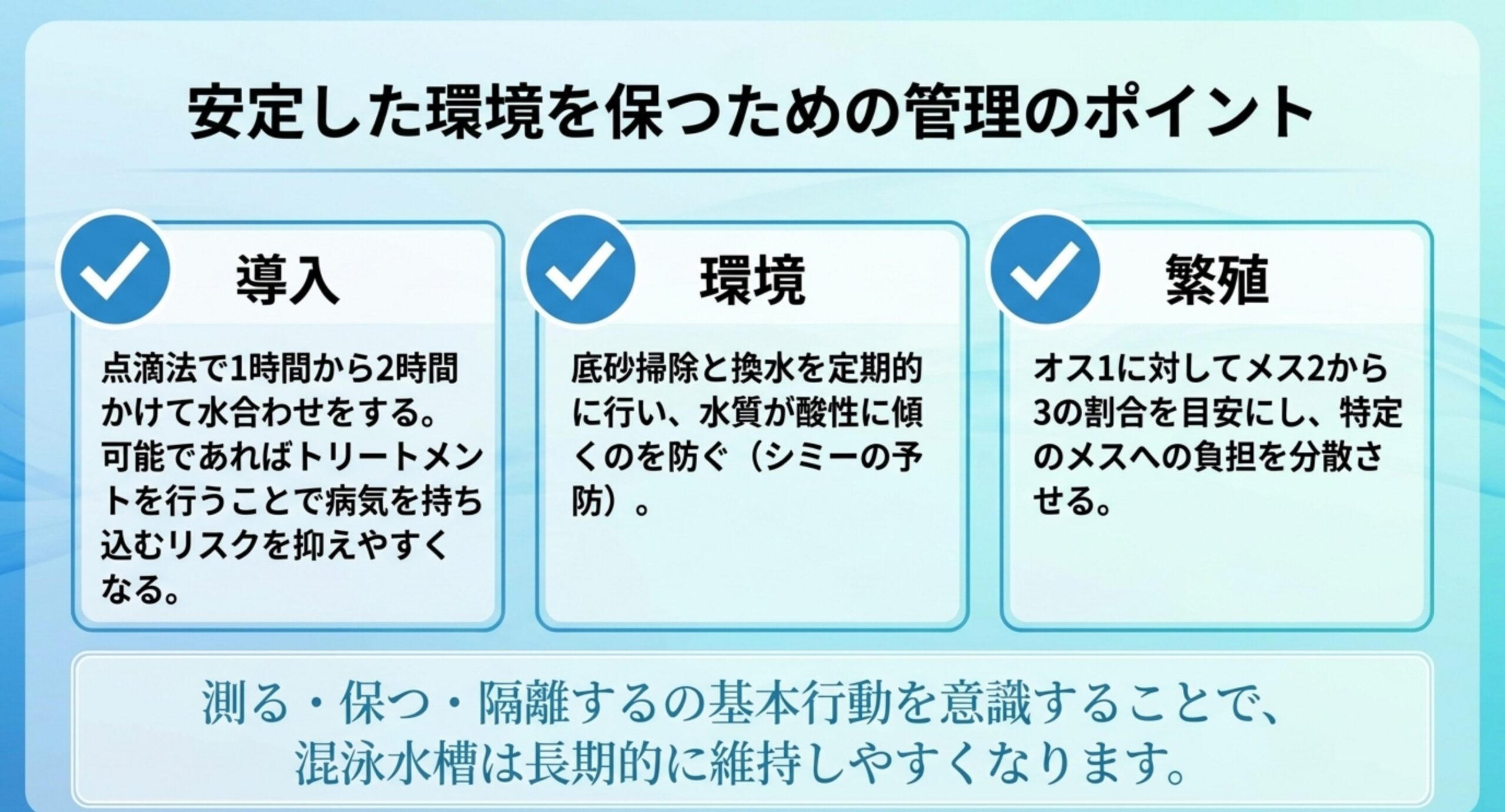 導入時の水合わせ・底砂掃除と換水・オスメス比率という、混泳水槽を安定させる3つの管理ポイントを並べたスライド