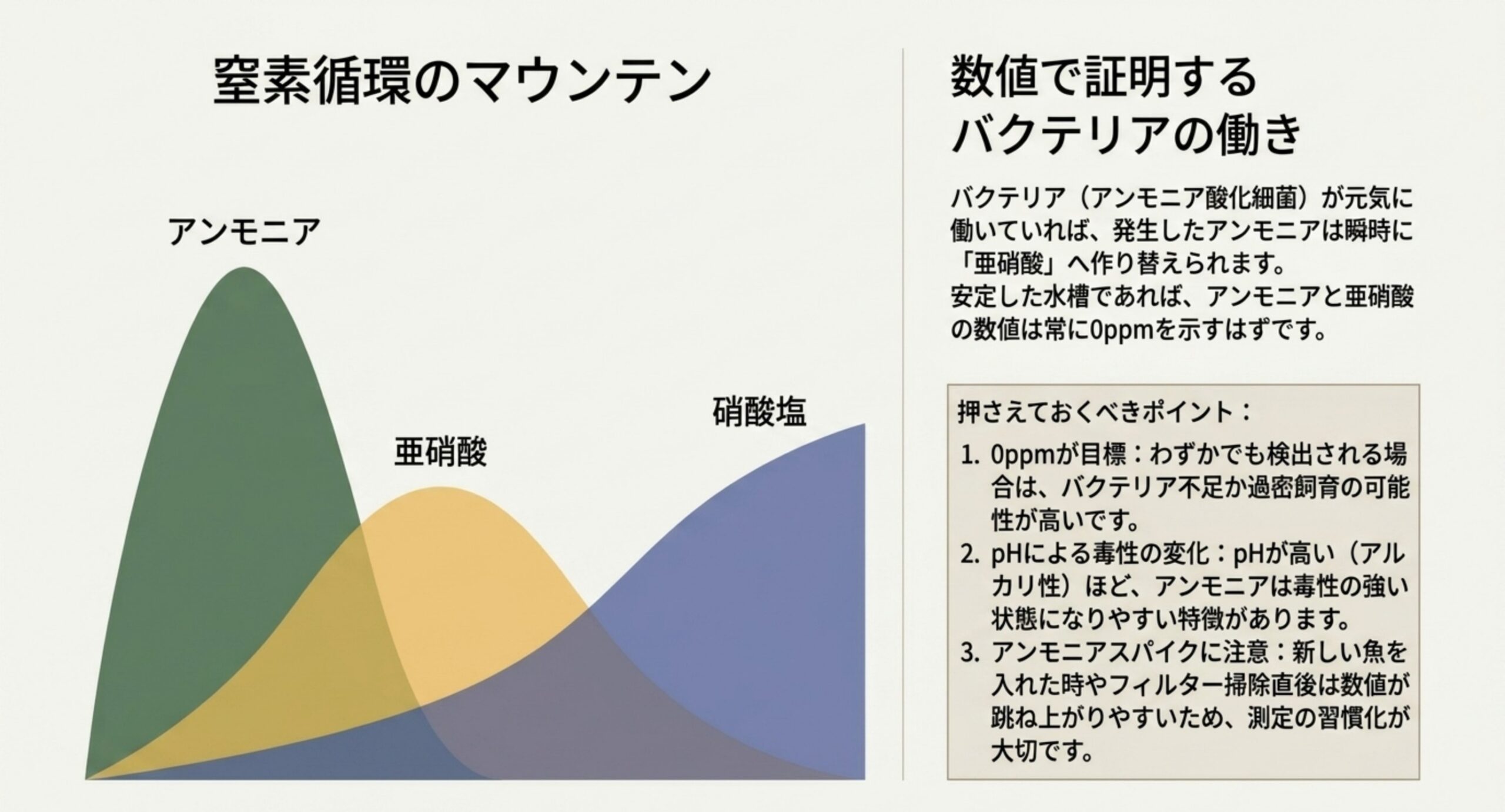 アンモニア、亜硝酸、硝酸塩が時間とともに入れ替わる窒素循環の流れと、測定値を読むときの注意点をまとめたスライド
