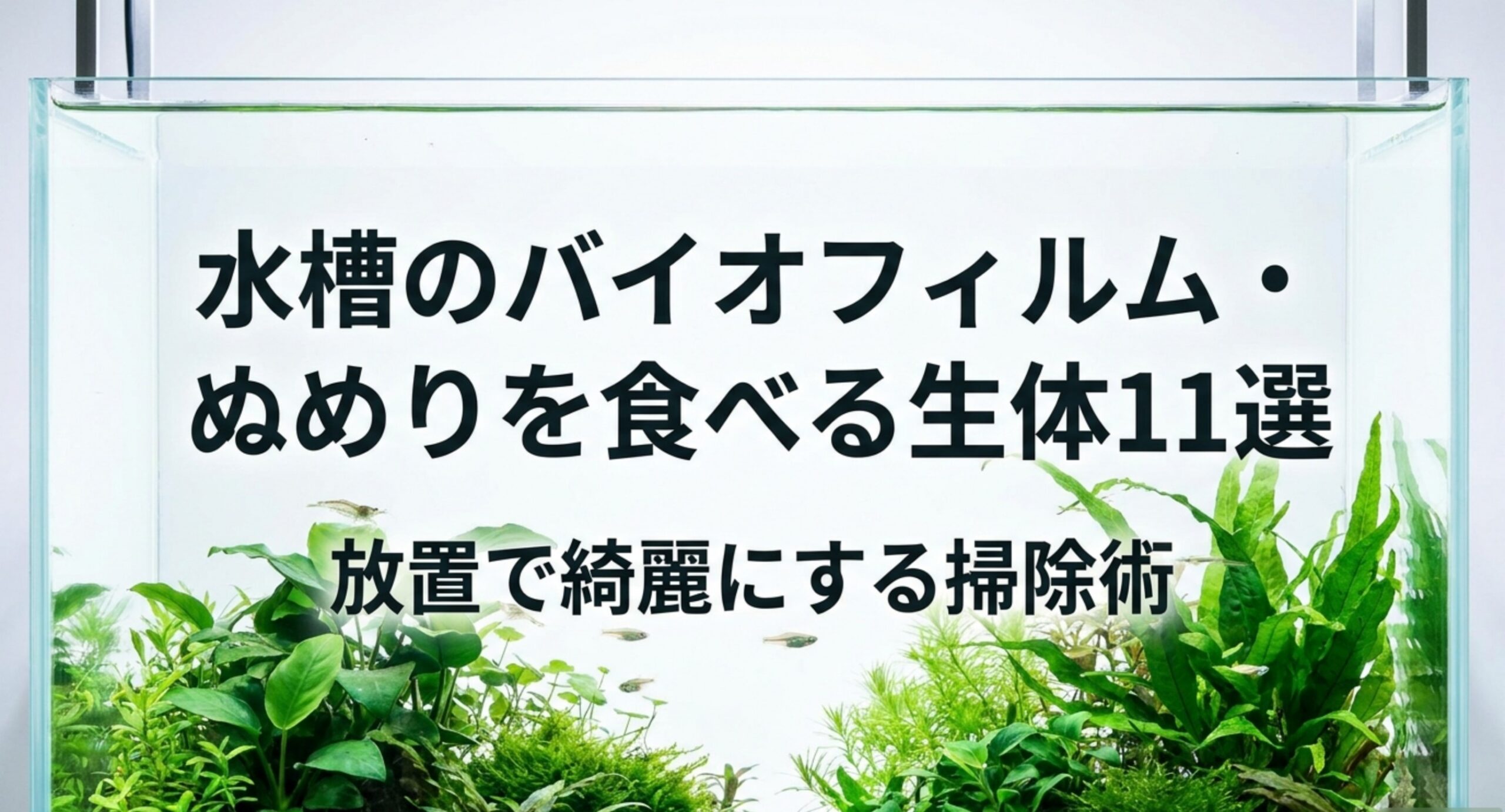 水草が茂った水槽を背景に、バイオフィルムとぬめりを食べる生体11選というテーマを示した表紙