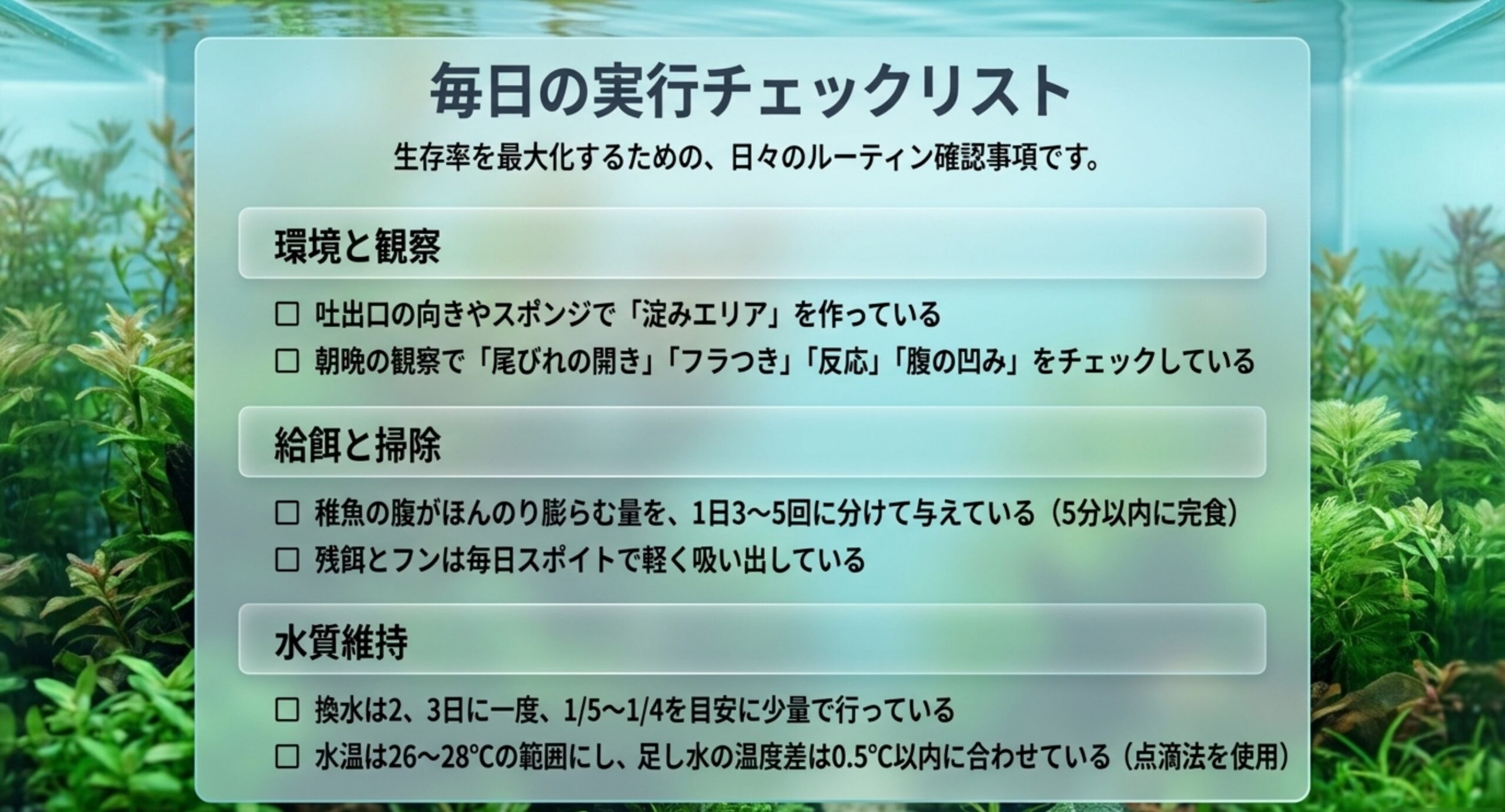環境と観察・給餌と掃除・水質維持の3分野で毎日確認すべき項目を並べたチェックリストのスライド