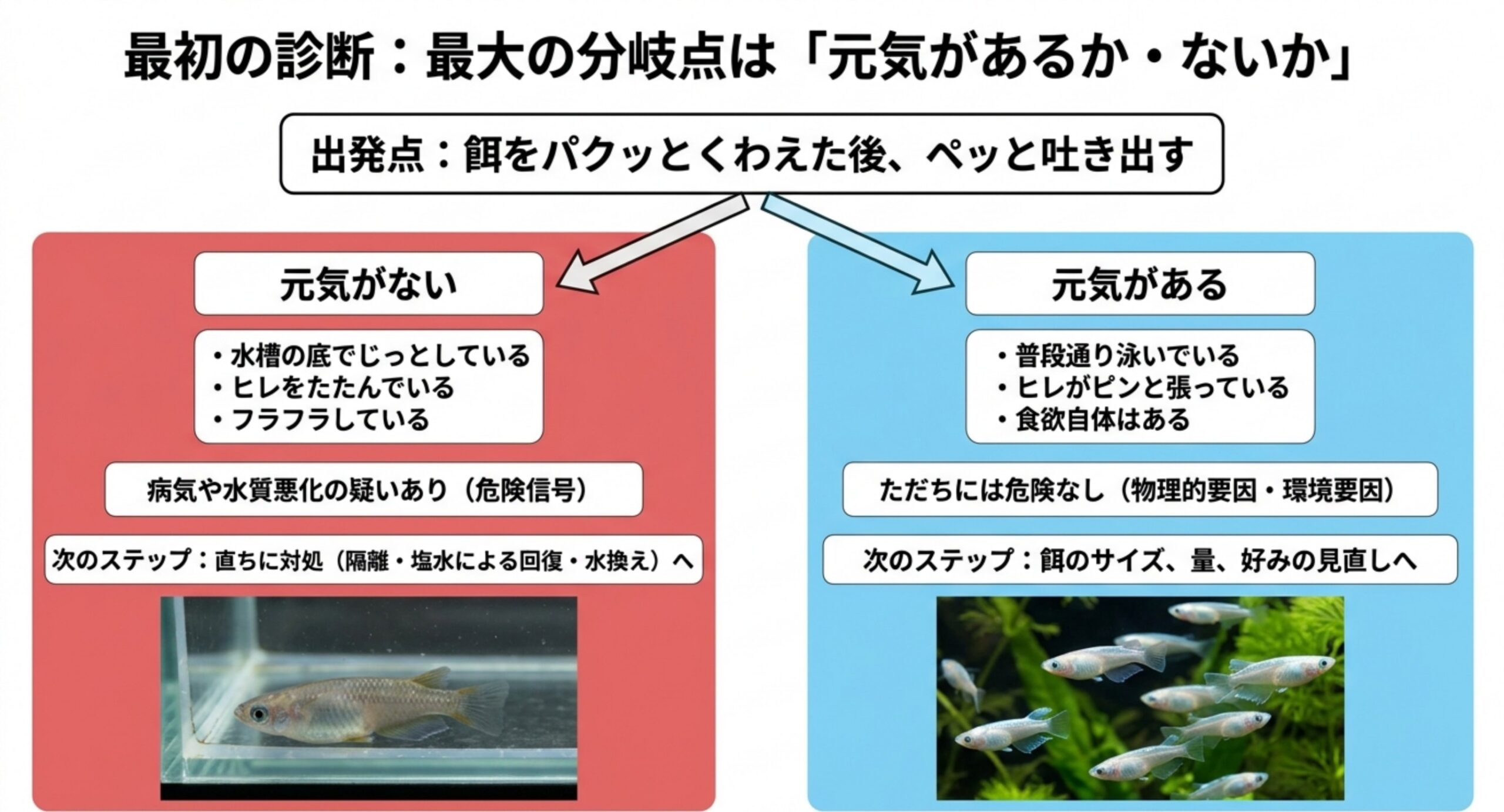 餌を吐き出した後に元気があるかないかで、様子見でよい場合と危険信号とを振り分ける診断フローの図