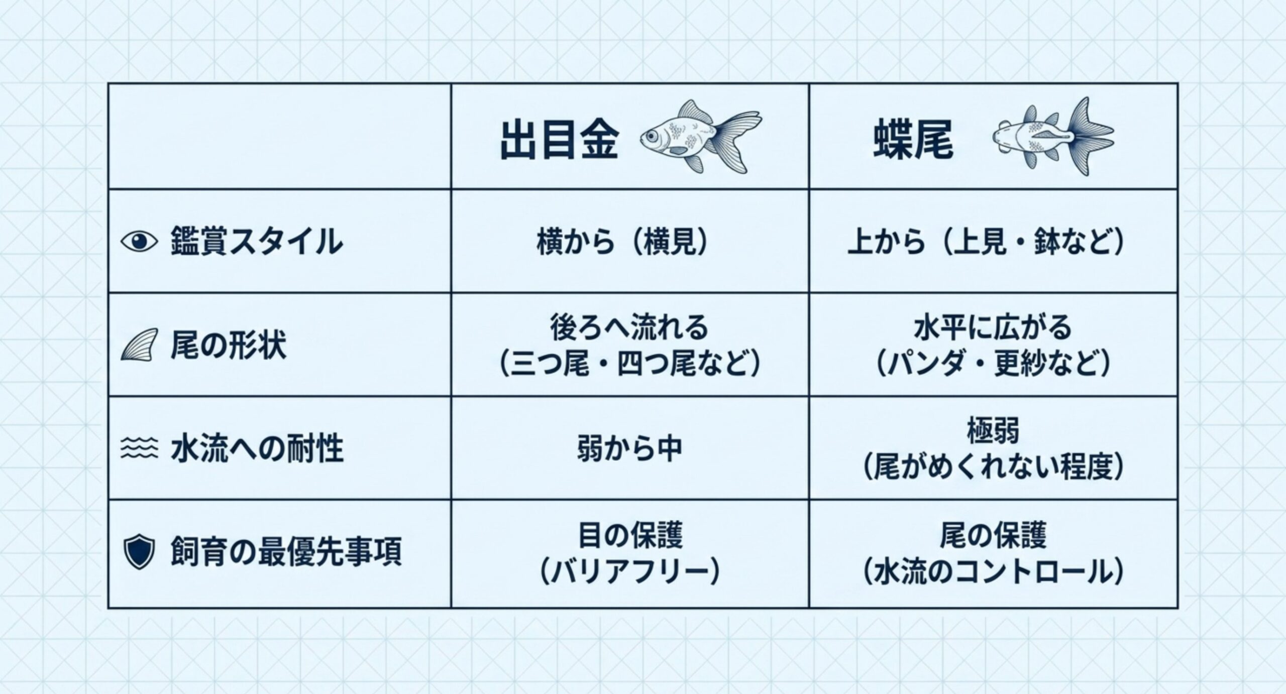 鑑賞スタイル・尾の形状・水流への耐性・飼育の最優先事項を出目金と蝶尾で並べた比較表