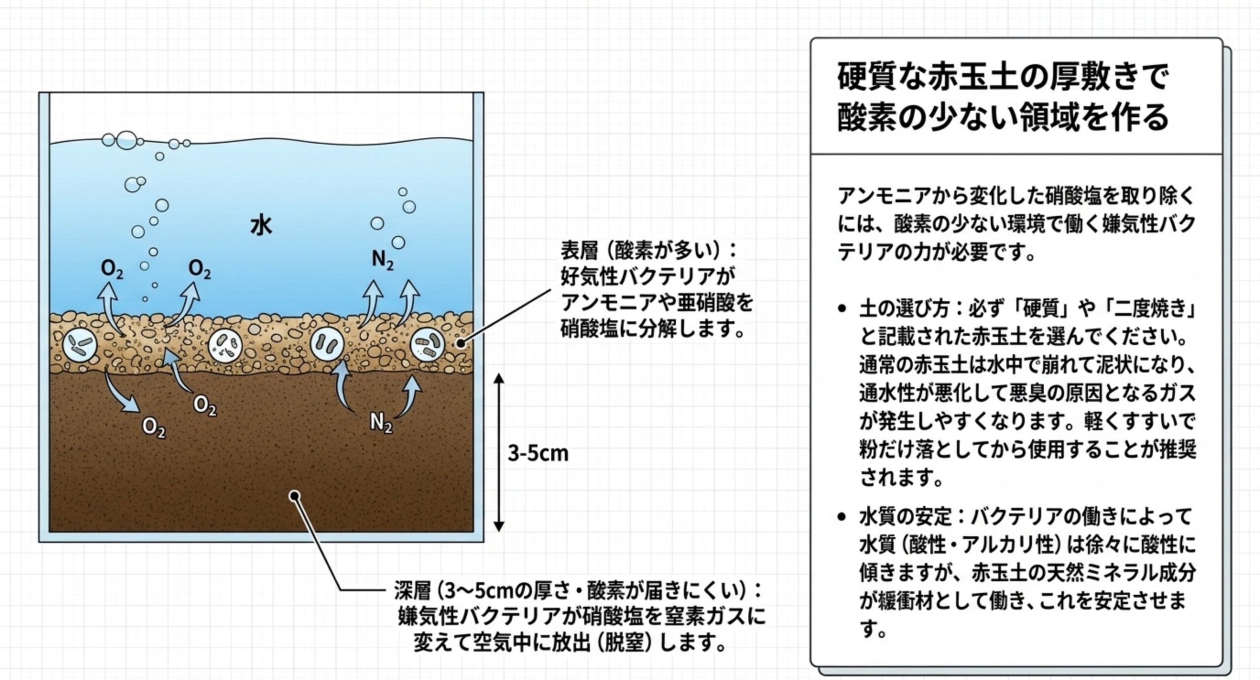 赤玉土の厚敷きで脱窒が起きるしくみ 赤玉土の表層で好気性バクテリアが硝酸塩を作り、深層の酸素が少ない層で嫌気性バクテリアが窒素ガスに変える流れを示した断面図のスライド
