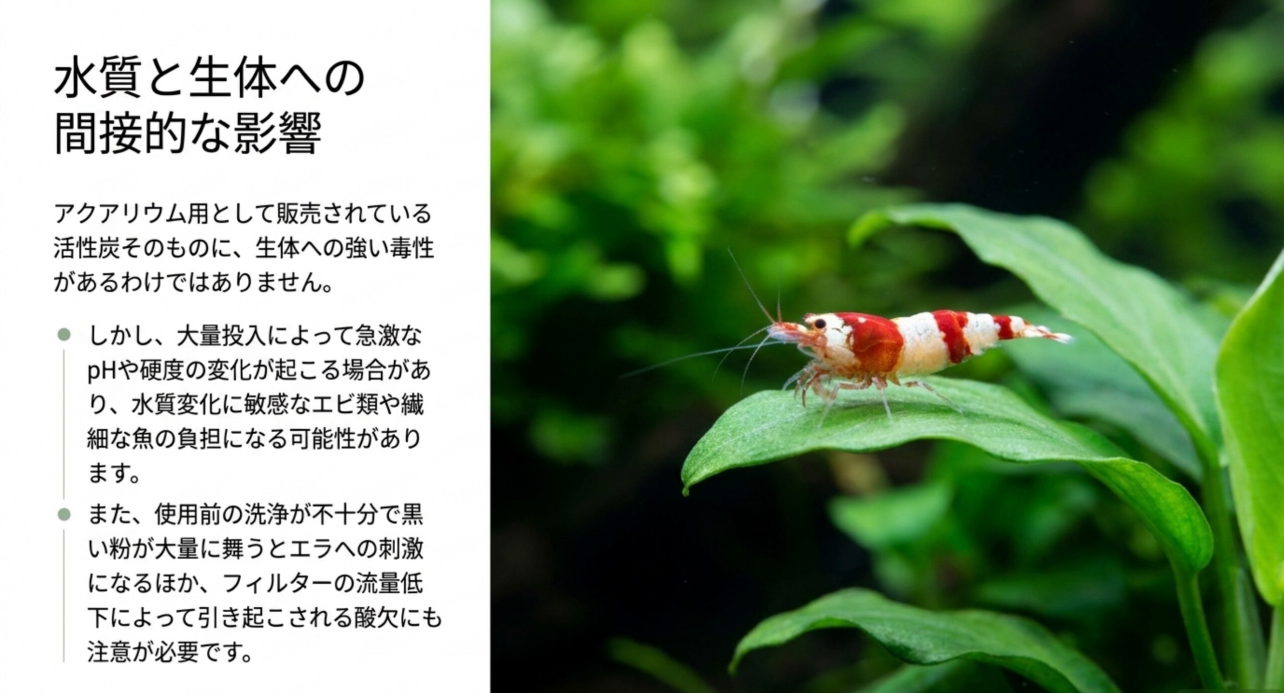 活性炭自体に強い毒性はないものの、大量投入によるpHや硬度の変化、洗浄不足の黒い粉がエビや魚の負担になりうることを示した図
