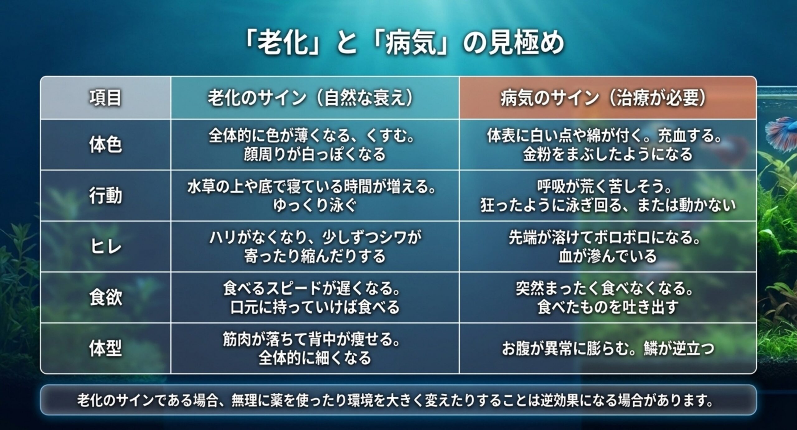 老化のサインと病気のサインの見分け方 体色・行動・ヒレ・食欲・体型の5項目について自然な老化と治療が必要な病気の違いを対比した表のスライド