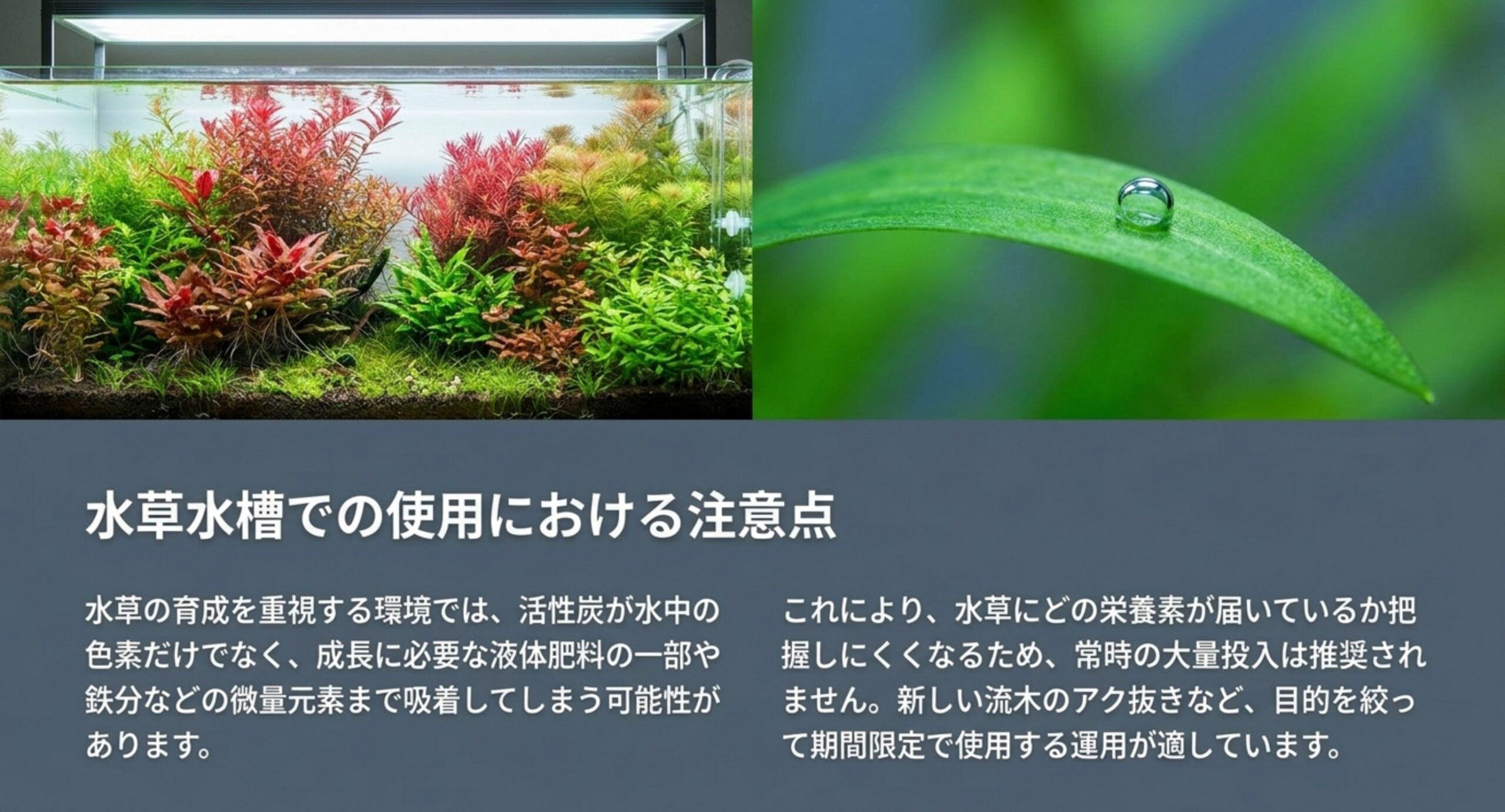 活性炭が液体肥料の一部や鉄分などの微量元素まで吸着する可能性があるため、目的を絞って期間限定で使う運用が適していることを示した図