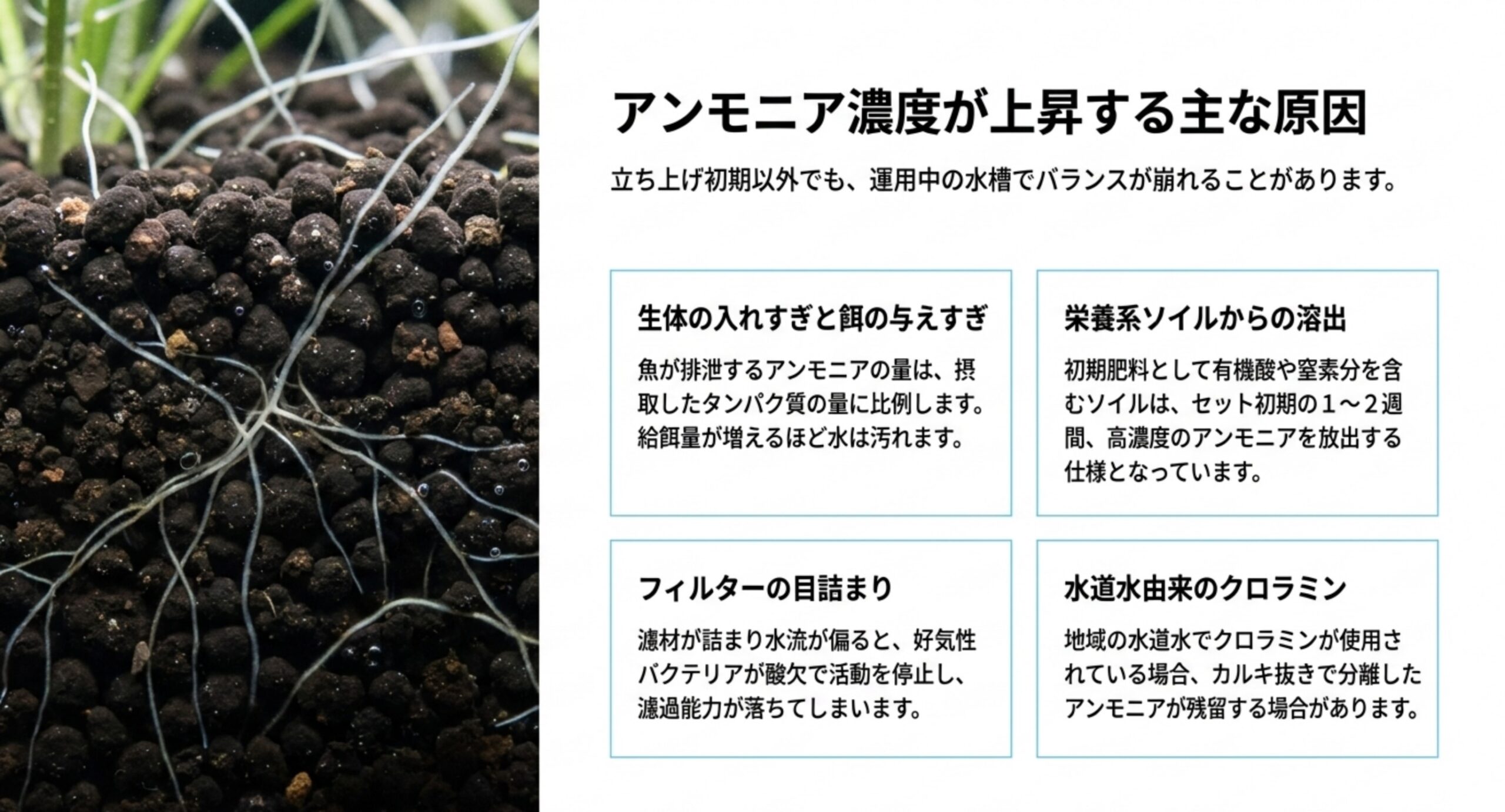 アンモニア濃度が上がる4つの原因 生体の入れすぎと餌の与えすぎ、栄養系ソイルからの溶出、フィルターの目詰まり、水道水由来のクロラミンという4つの原因を並べた図