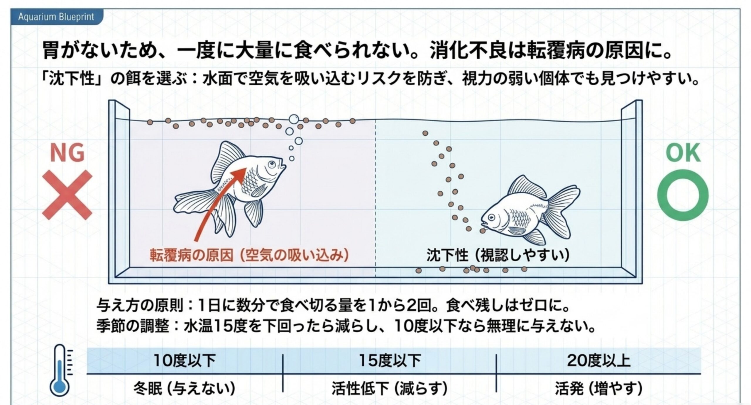 浮上性の餌で空気を吸い込むリスクと沈下性の餌の利点、水温別の給餌量の目安を示した図解
