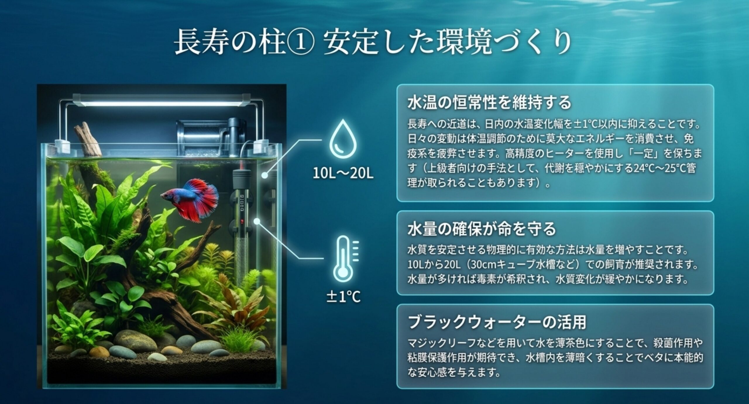 水温の恒常性と水量の確保で寿命を伸ばす 水温の変化幅をプラスマイナス1度以内に抑えることと、10から20リットルの水量を確保することを図で示したスライド