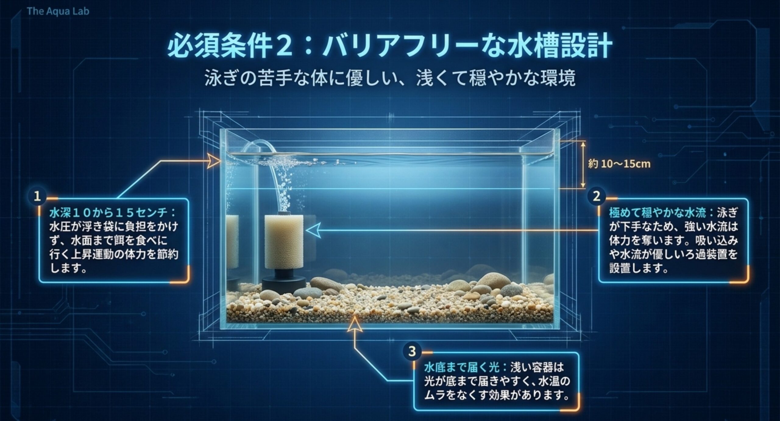 バリアフリーな水槽設計 水深10〜15センチ、穏やかな水流、底まで届く光という3点でダルマメダカの負担を減らす水槽レイアウトの図