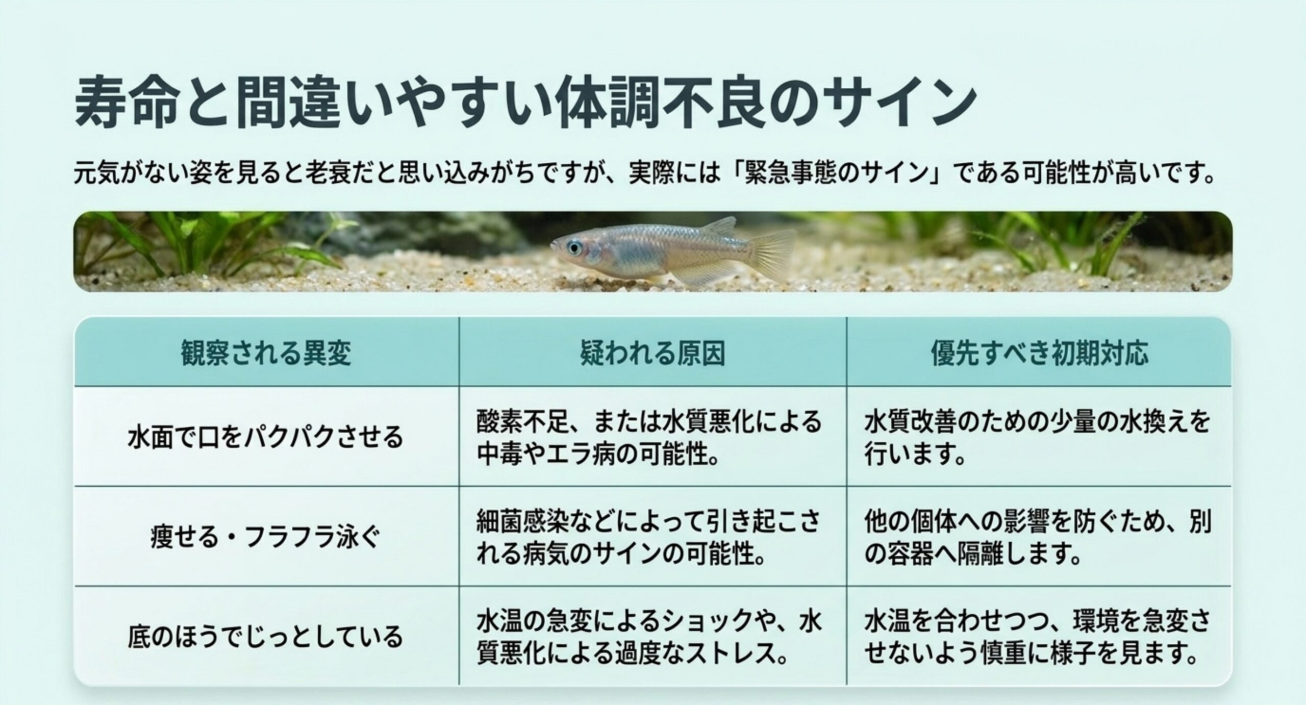 寿命と間違えやすいメダカの体調不良のサイン 水面で口を動かす・痩せてフラフラ泳ぐ・底でじっとするという異変ごとに疑われる原因と初期対応を並べた表のスライド