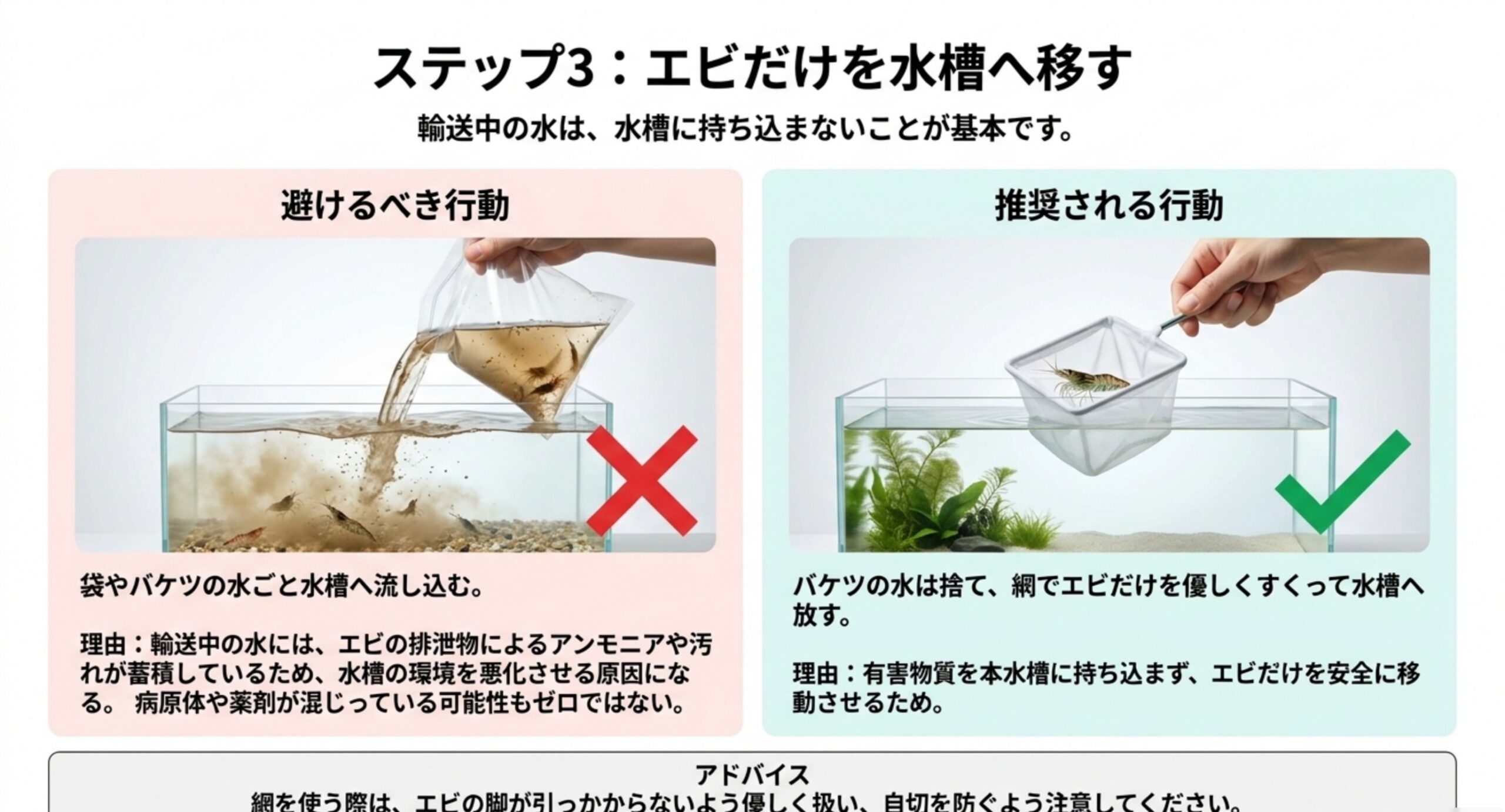 袋やバケツの水ごと水槽へ流し込む行為と、網でエビだけをすくって移す行為を対比した図のスライド