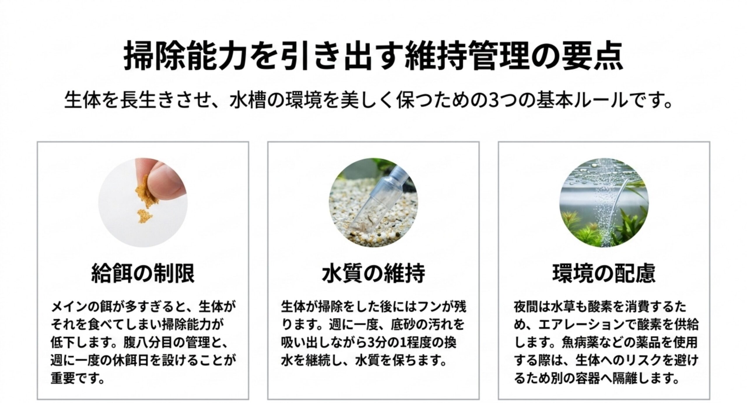 掃除能力を引き出す維持管理の3つの要点 生体の掃除能力を保つための給餌の制限・週一回の換水による水質維持・夜間のエアレーションと薬品使用時の隔離という3つの要点をまとめた図