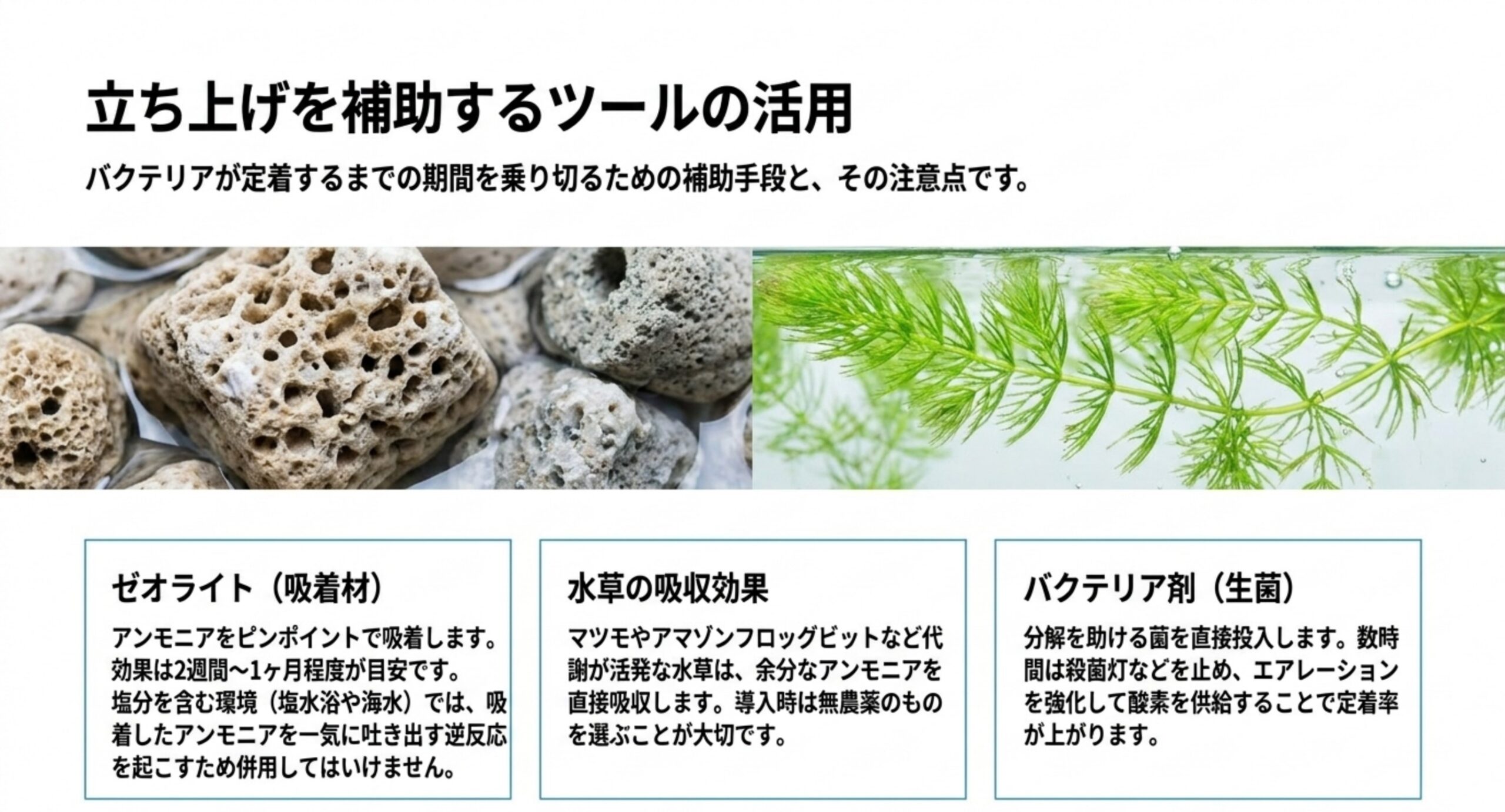立ち上げを助けるゼオライト・水草・バクテリア剤 ゼオライトの吸着と塩分併用の禁止、マツモなど水草による吸収、生菌タイプのバクテリア剤という3つの補助手段を並べた図