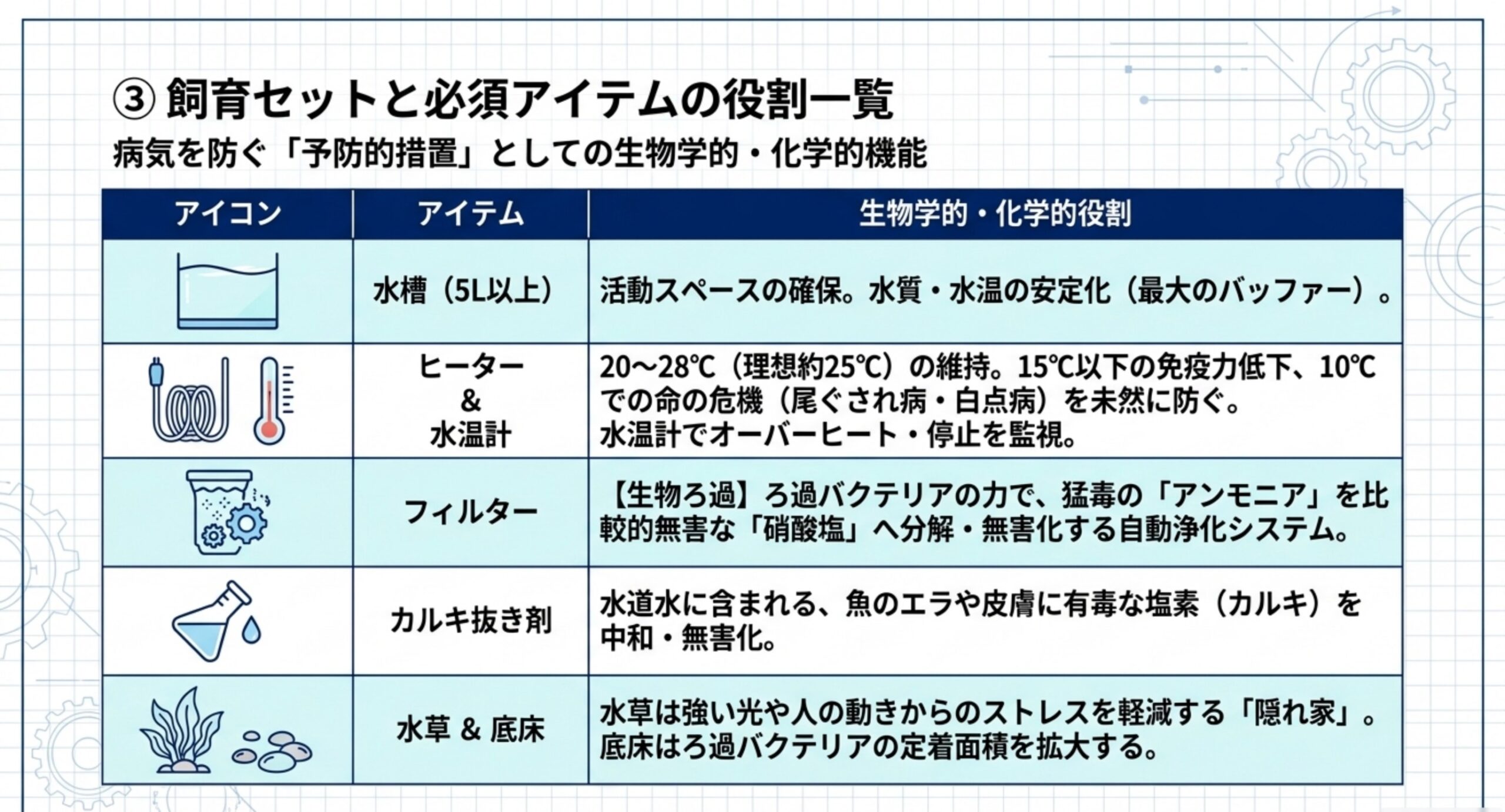 水槽・ヒーターと水温計・フィルター・カルキ抜き剤・水草と底床について、水質と水温の安定、20〜28℃の維持、アンモニアを硝酸塩へ分解する生物ろ過、塩素の中和、隠れ家とバクテリアの定着という役割を表にまとめた図解