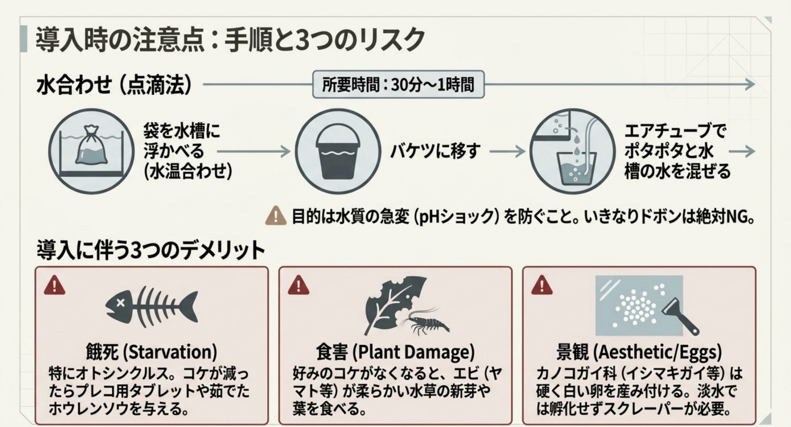 導入時の水合わせ手順と3つのリスク 袋を浮かべて水温を合わせ、バケツへ移してエアチューブで30分から1時間かけて点滴法で 水槽の水を混ぜる手順と、餓死・水草の食害・貝の卵による景観問題という3つのリスクを並べた図解