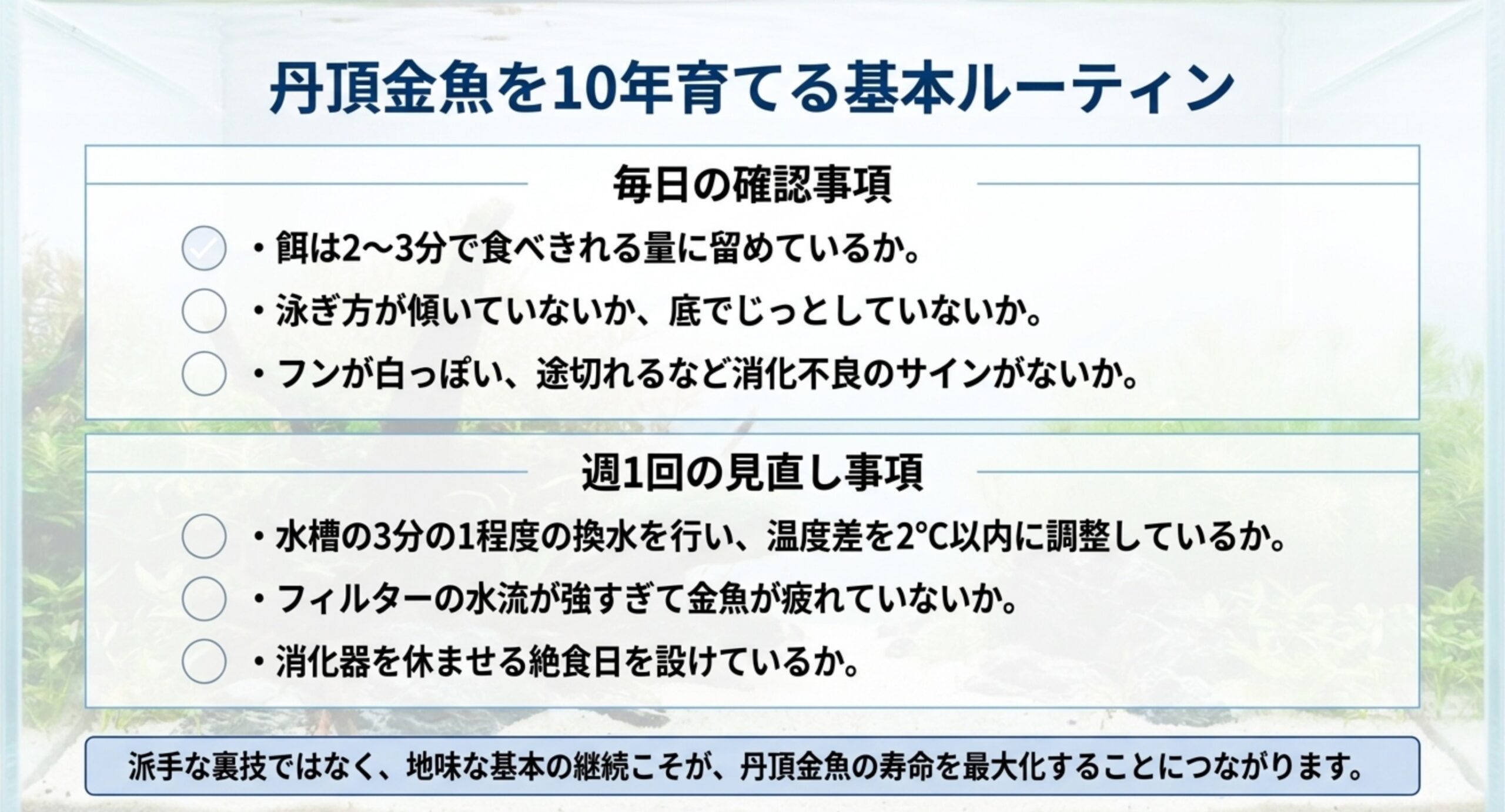 10年育てる基本ルーティン 毎日確認したい餌の量や泳ぎ方・フンの状態と、週1回の換水や水流の見直しをチェックリストにまとめたスライド