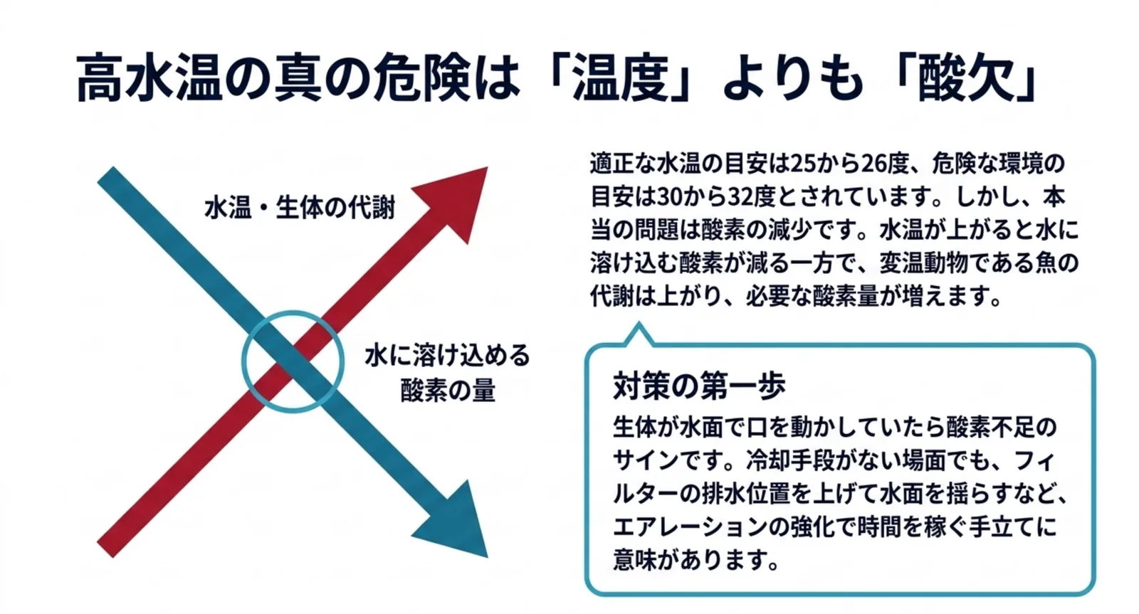 水温が上がると水に溶け込める酸素は減り、魚の代謝と必要な酸素量は増えるという逆向きの関係を交差する矢印で示したスライド