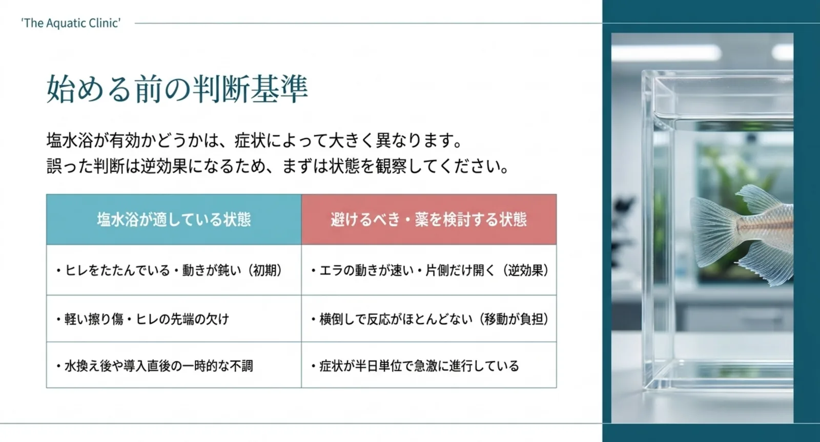 ヒレをたたむ初期の不調や軽い擦り傷は塩水浴が適し、エラの異常や横倒し、急激な進行は避けるべきと二列で対比した表