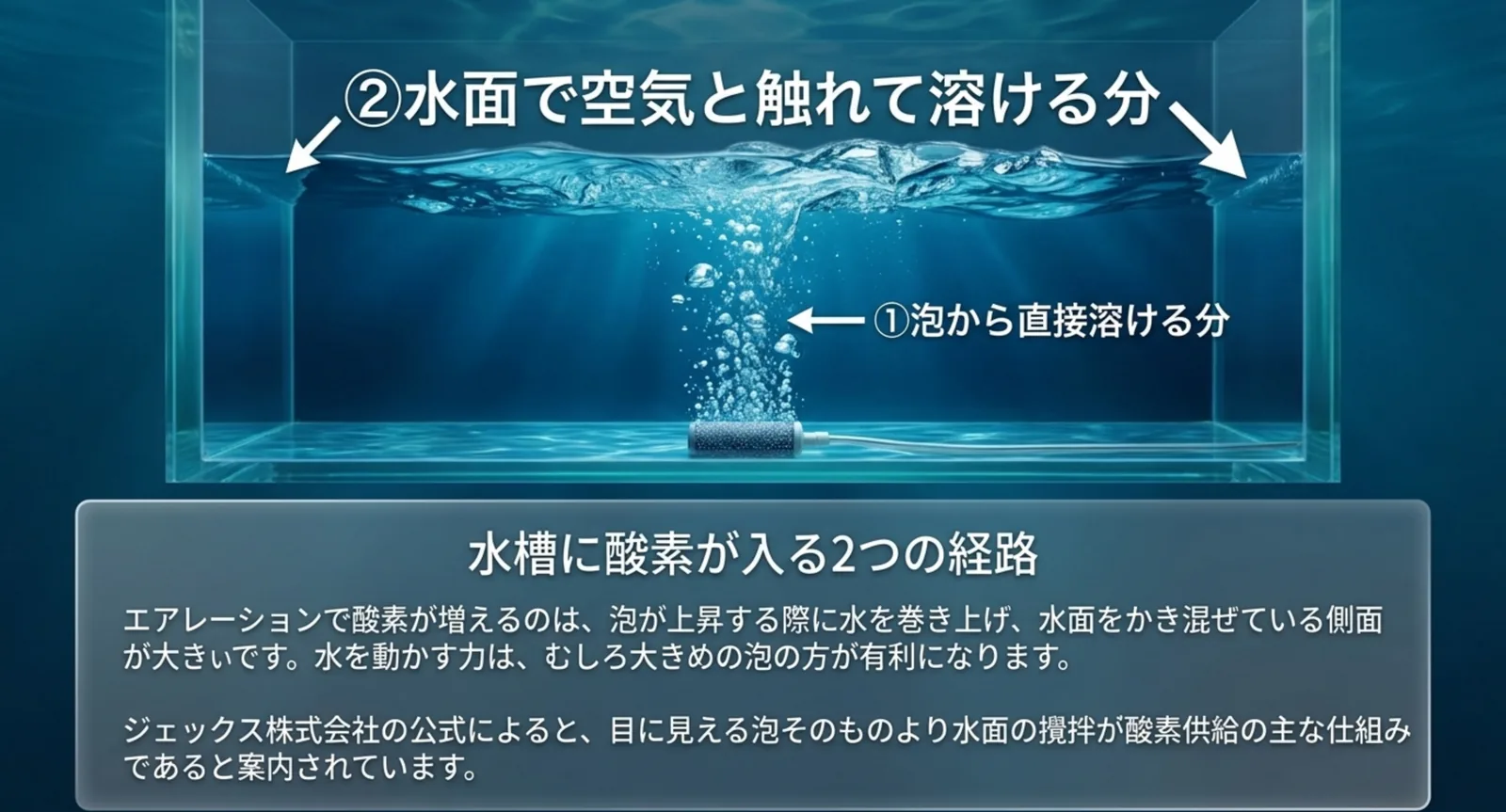 泡から直接溶ける分と水面で空気と触れて溶ける分という2つの経路を水槽の断面図で示したスライド
