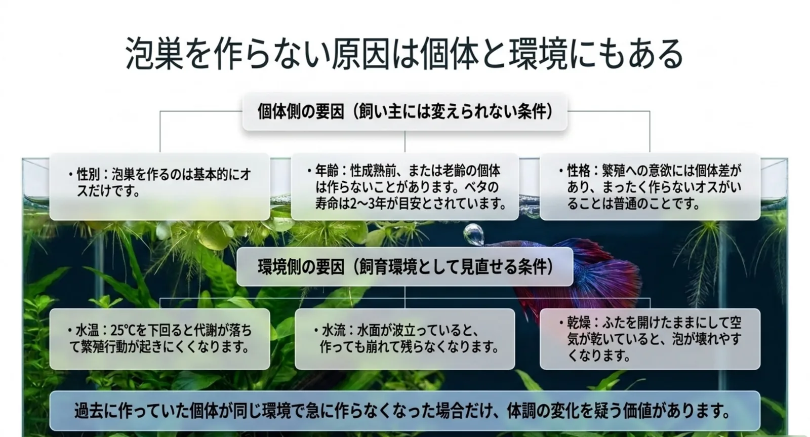 性別・年齢・性格という個体側の要因と、水温・水流・乾燥という環境側の要因を分けた図