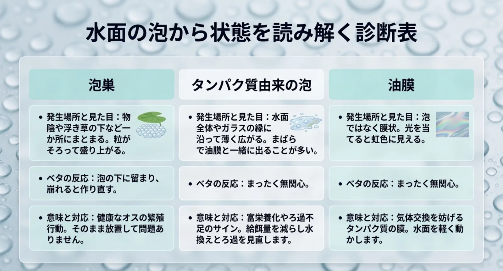 泡巣・タンパク質由来の泡・油膜の3つを、発生場所とベタの反応で見分ける表