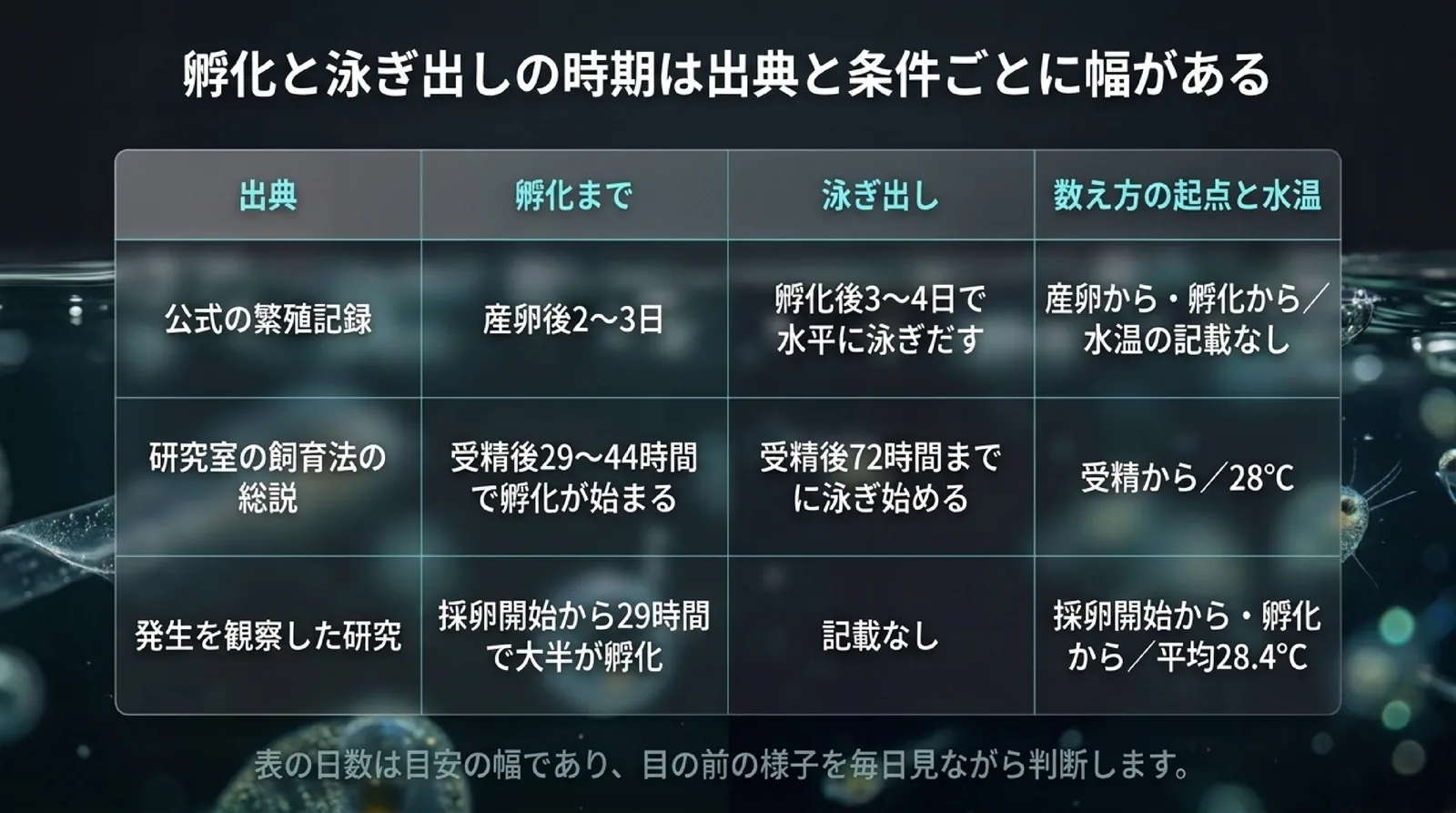 公式の繁殖記録、研究室の飼育法の総説、発生を観察した研究の3つについて、孵化まで・泳ぎ出し・数え方の起点と水温を並べた表のスライド