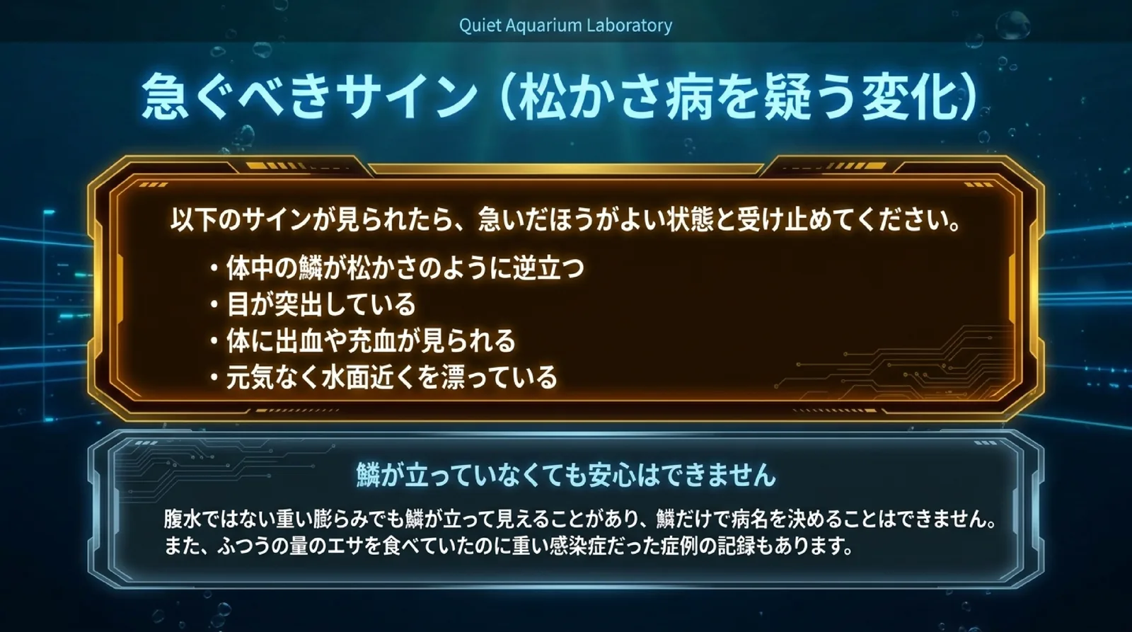 体中の鱗の逆立ち、目の突出、体の出血や充血、元気なく水面近くを漂うといった急ぐサインと、鱗が立っていなくても安心できないことを示したスライド