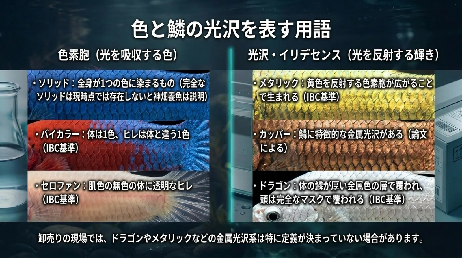 ソリッド・バイカラー・セロファンの色の呼び方と、メタリック・カッパー・ドラゴンの光沢の呼び方を出典つきで並べ、金属光沢系は卸の説明で定義が決まっていない場合があると示したスライド