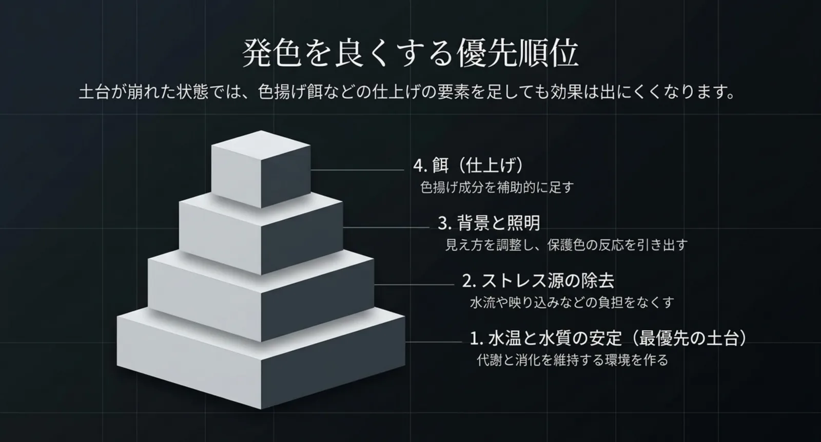 水温と水質の安定を土台に、ストレス・背景と照明・餌の順で積み上げる優先順位の図