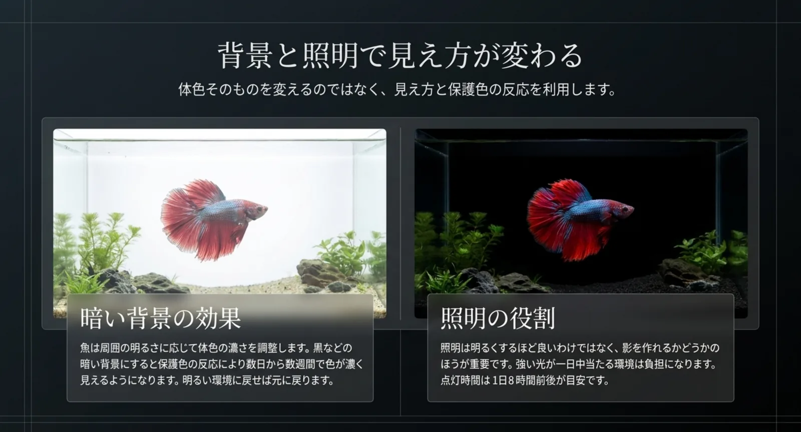 明るい背景と暗い背景でベタの色の見え方が変わることと、照明の役割を示した図