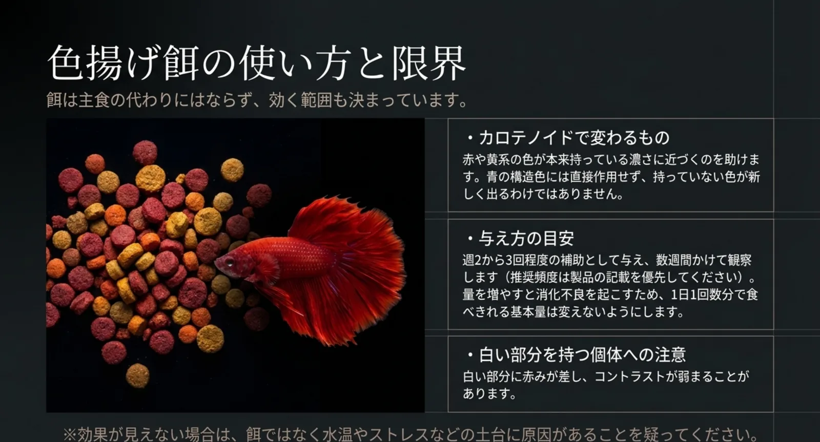 色揚げ餌のカロテノイドで変わる色と変わらない色、与え方の目安をまとめた図