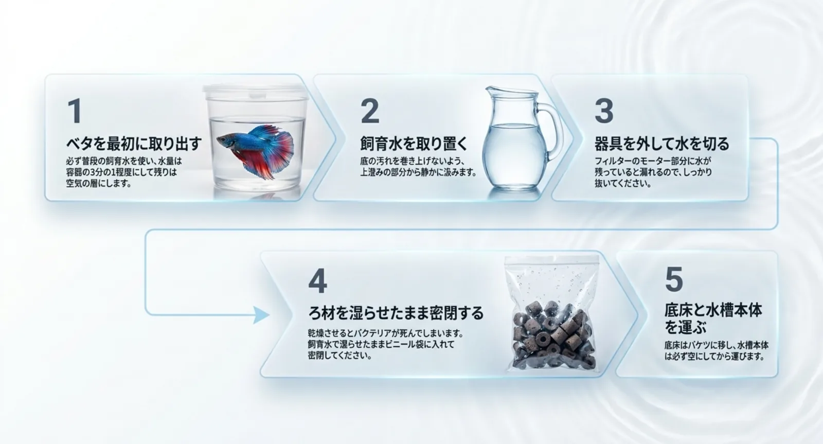ベタを取り出してから飼育水・器具・ろ材・底床を運ぶまでの5ステップの図